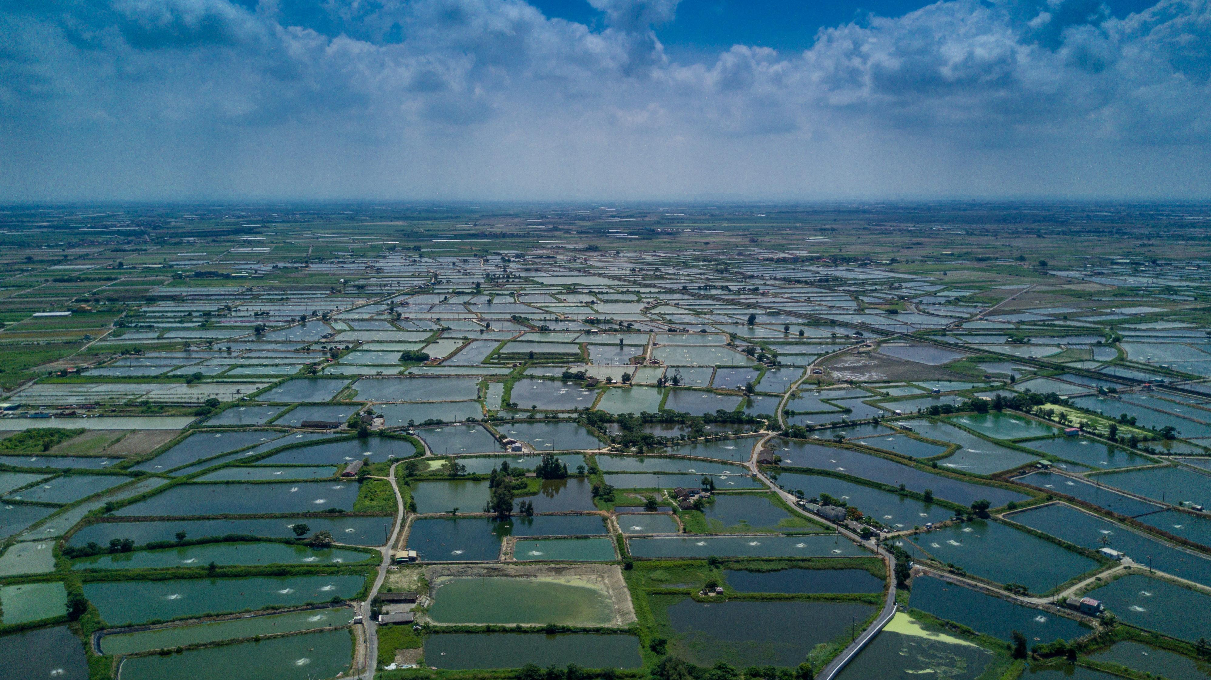 從空中看過溝,地面鋪滿一畦畦魚塭。