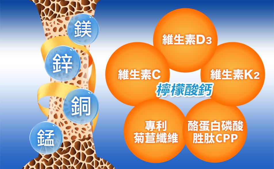 鈣質吸收需要多元營養素發揮協同作用,為鈣補品選擇時的重要元素。