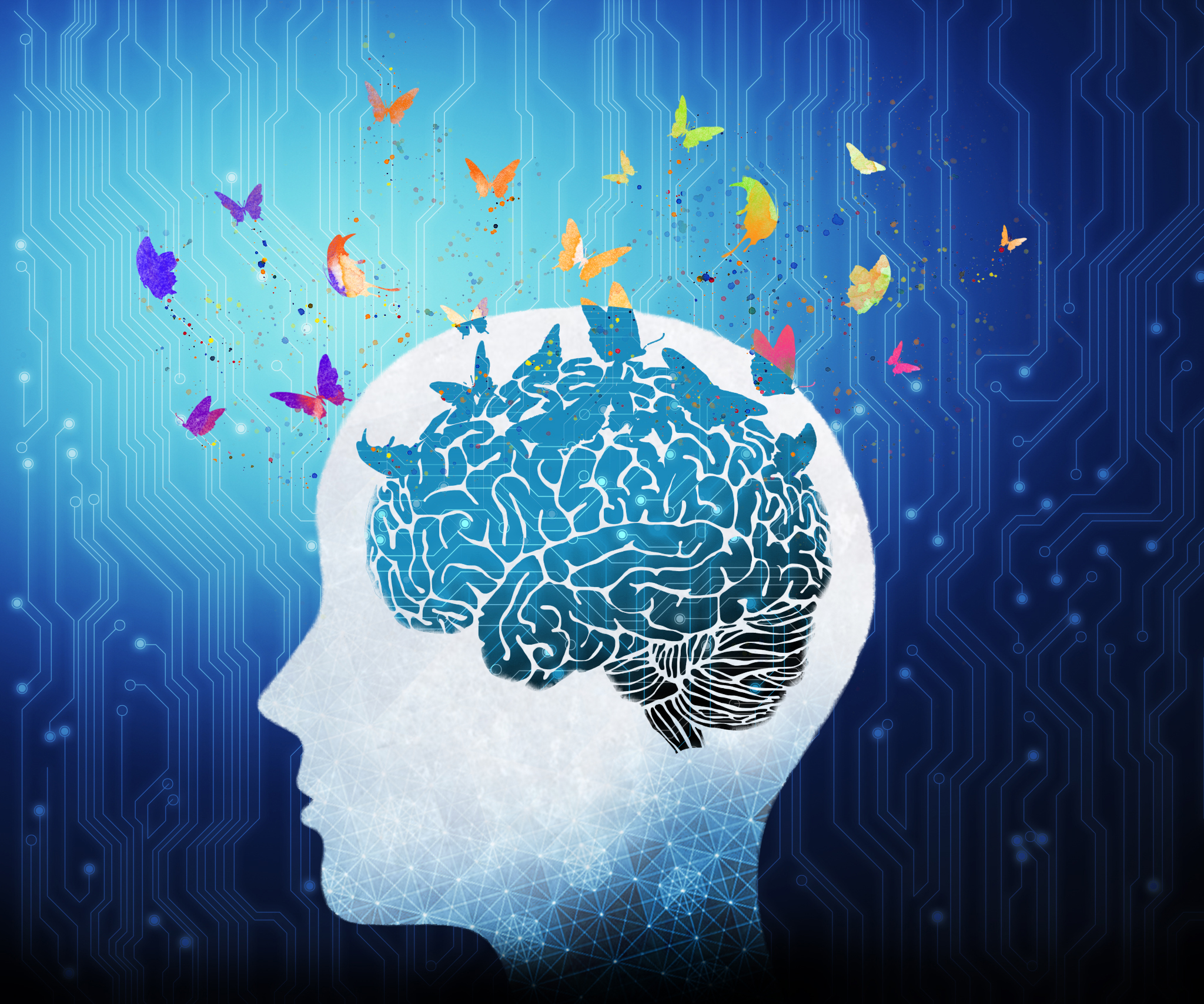 【王道還科普專欄】靈魂的神祕蝴蝶