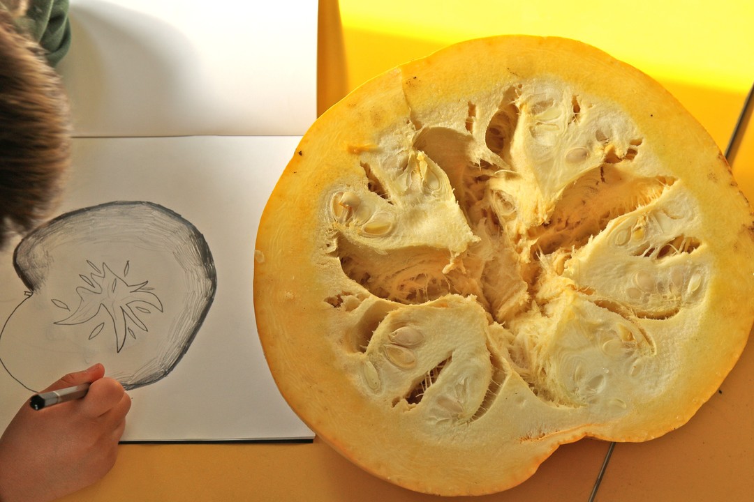 大自然充滿了驚喜，愛旭麗小學以自然為師，透過大自然的眼睛來學習。（翻攝Ashley Primary School）