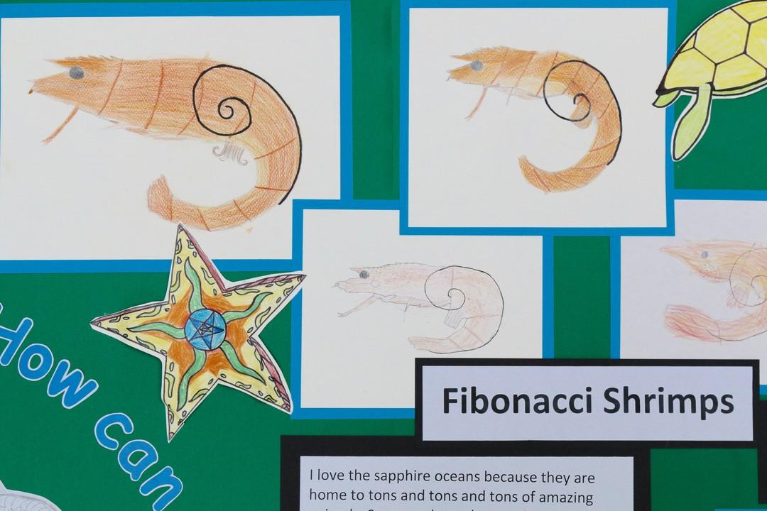 費波那奇序列（Fibonacci sequence）就在我們的真實世界之中，不只是課本上死板的知識。（翻攝Ashley Primary School）