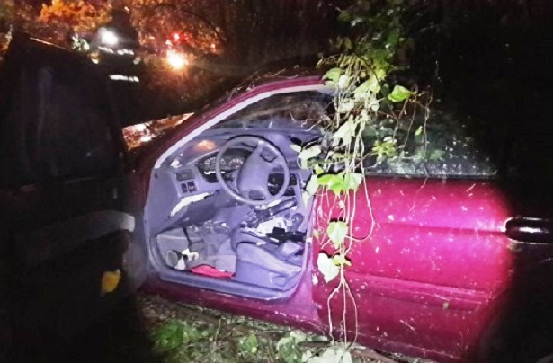 簡姓男子返回桃園住家途中，疑似疲勞駕駛衝進匝道邊坡樹林裡。
