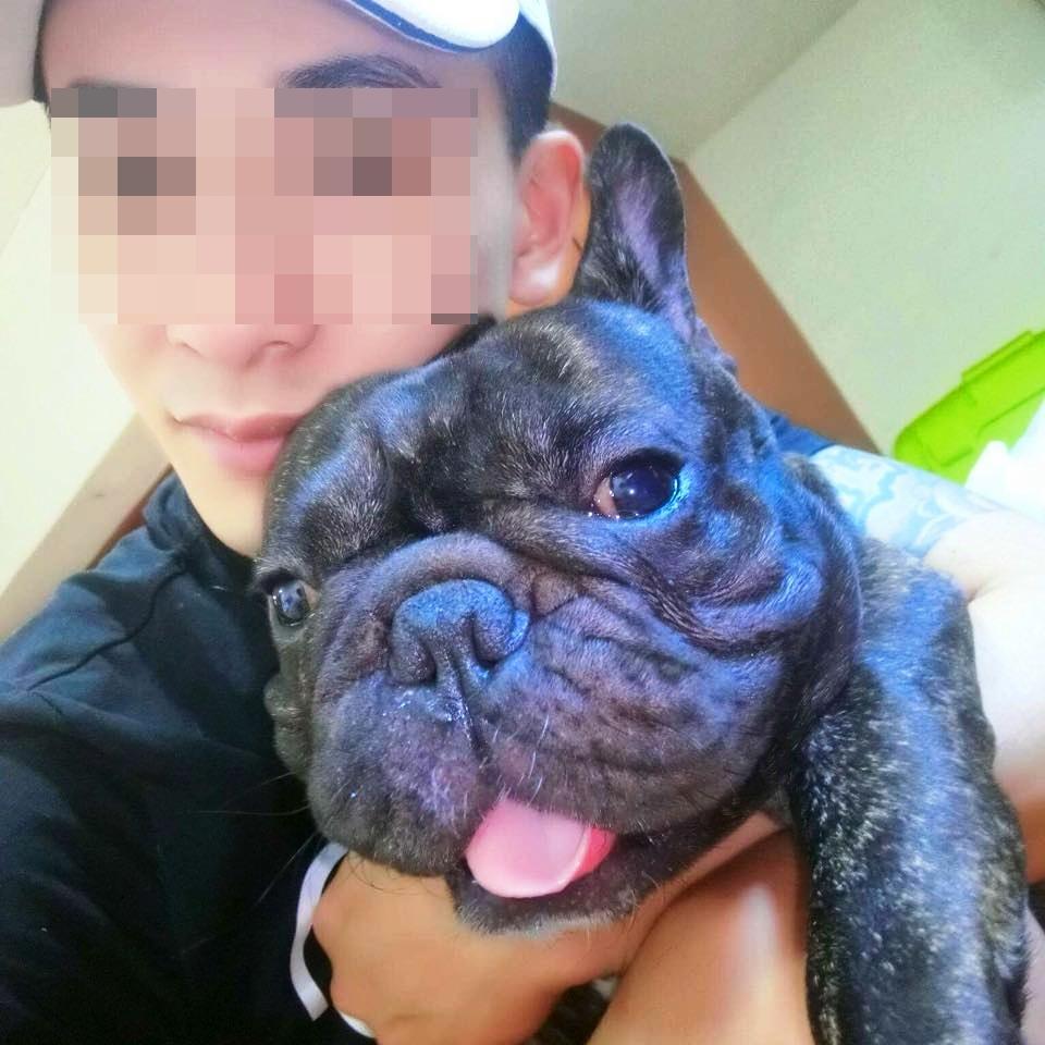 李男在臉書貼出小狗照片，但卻被網友批評他疑似虐狗。（翻攝李男臉書）