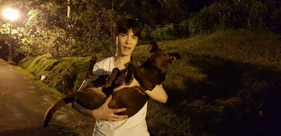 因為浪浪搜救隊的幫助,老蕭找到咖啡後帶著牠下山。