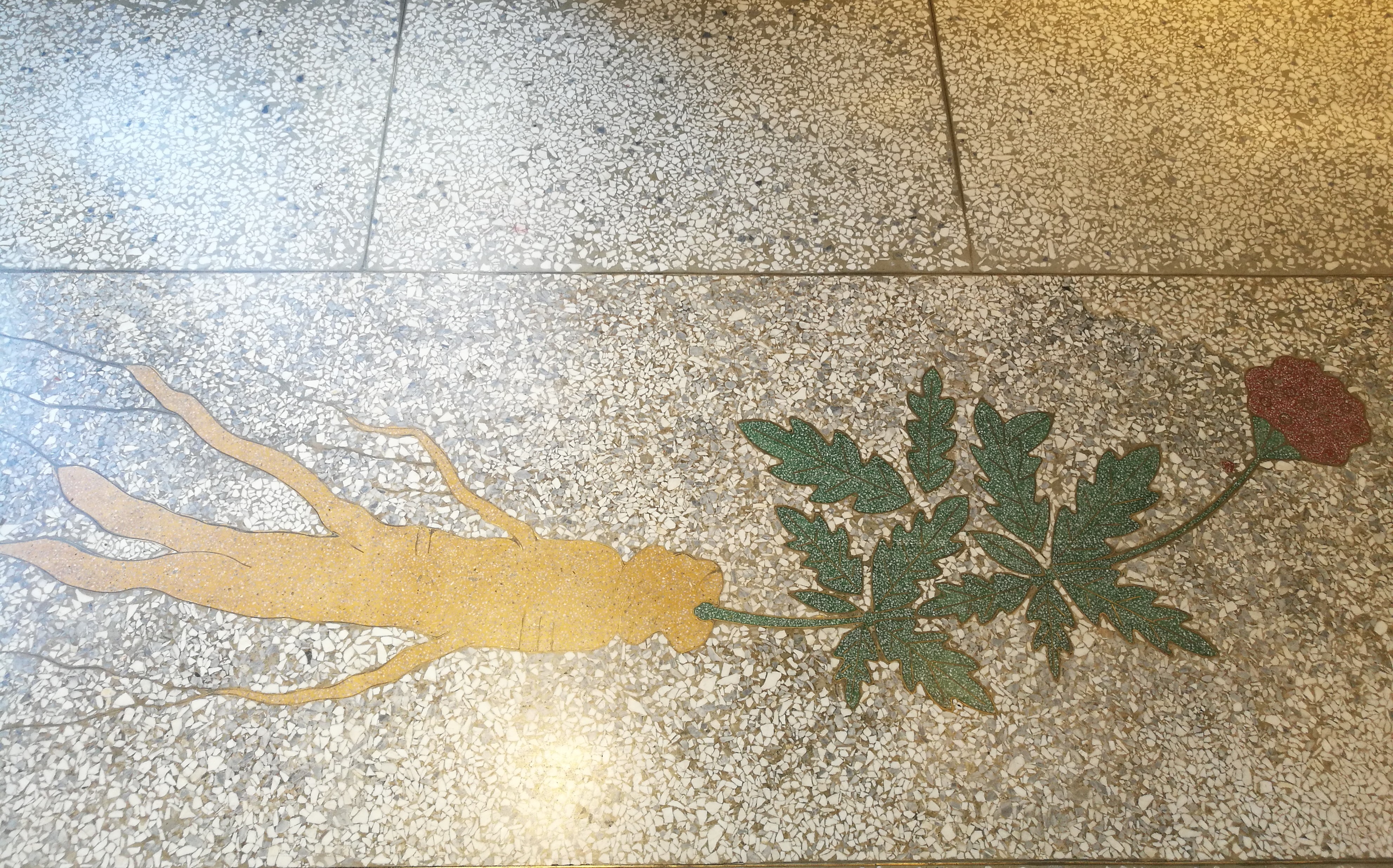 「迪化207博物館」入口處的磨石子人參圖樣，點出昔日中藥行的歷史。 