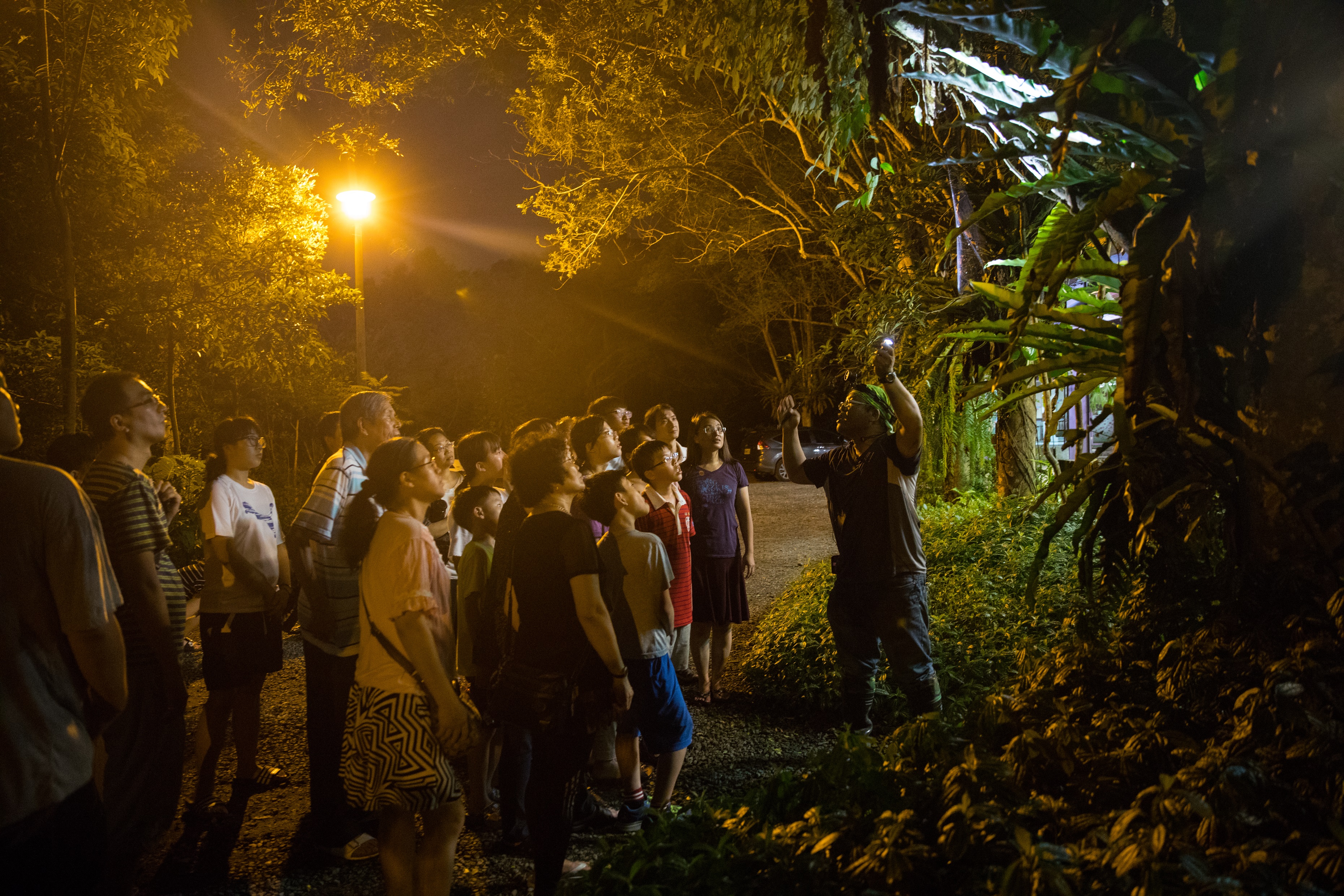 「大象老師」陳漢欽因對動物的熱情，從農場員工變成專職導覽老師。 