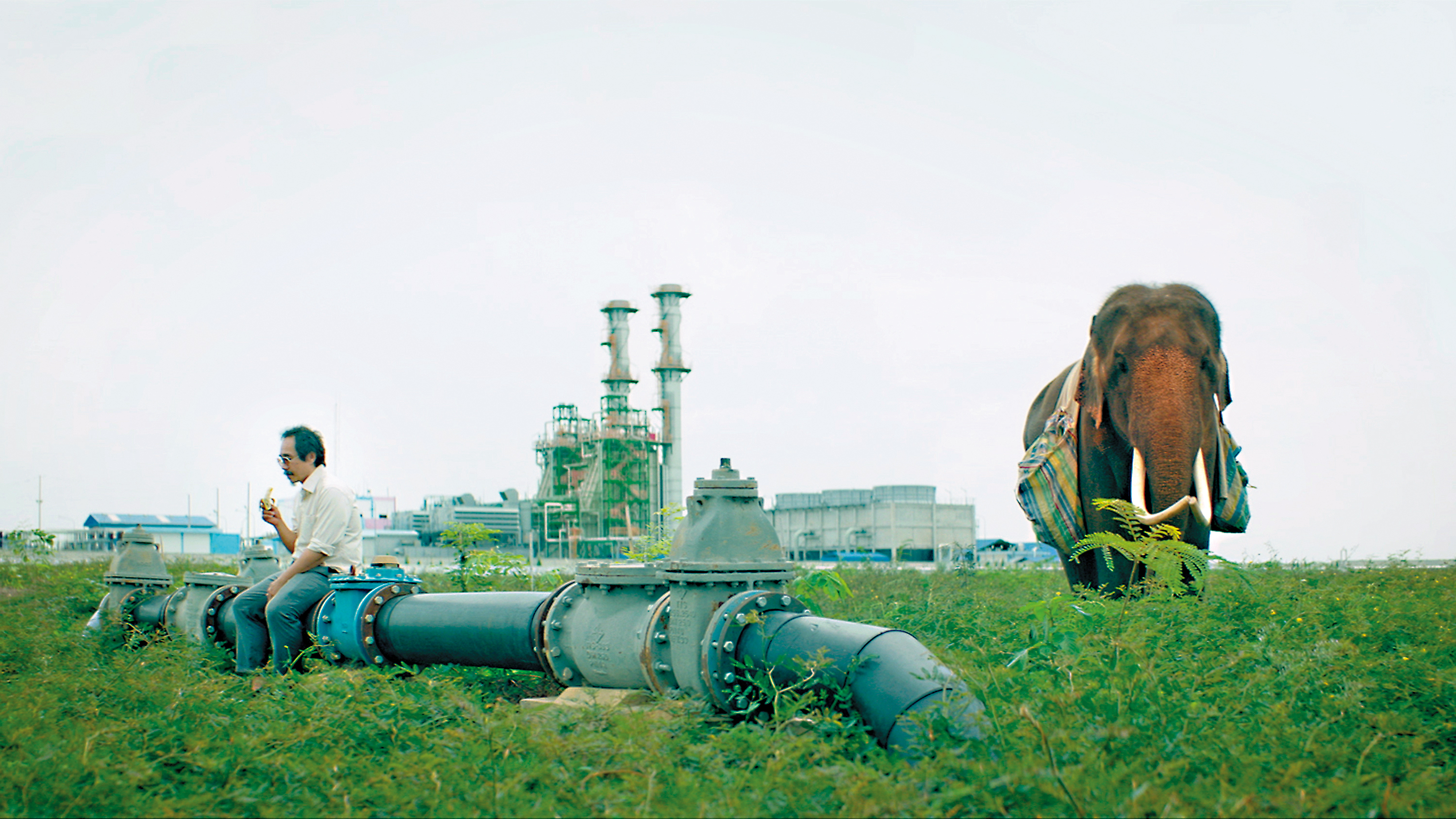 中年失意男打算和老象一路向北返鄉，電影在許多議題之間來回辯證，也可將本片視為一則第三世界的微型寓言。（翻攝自imdb）