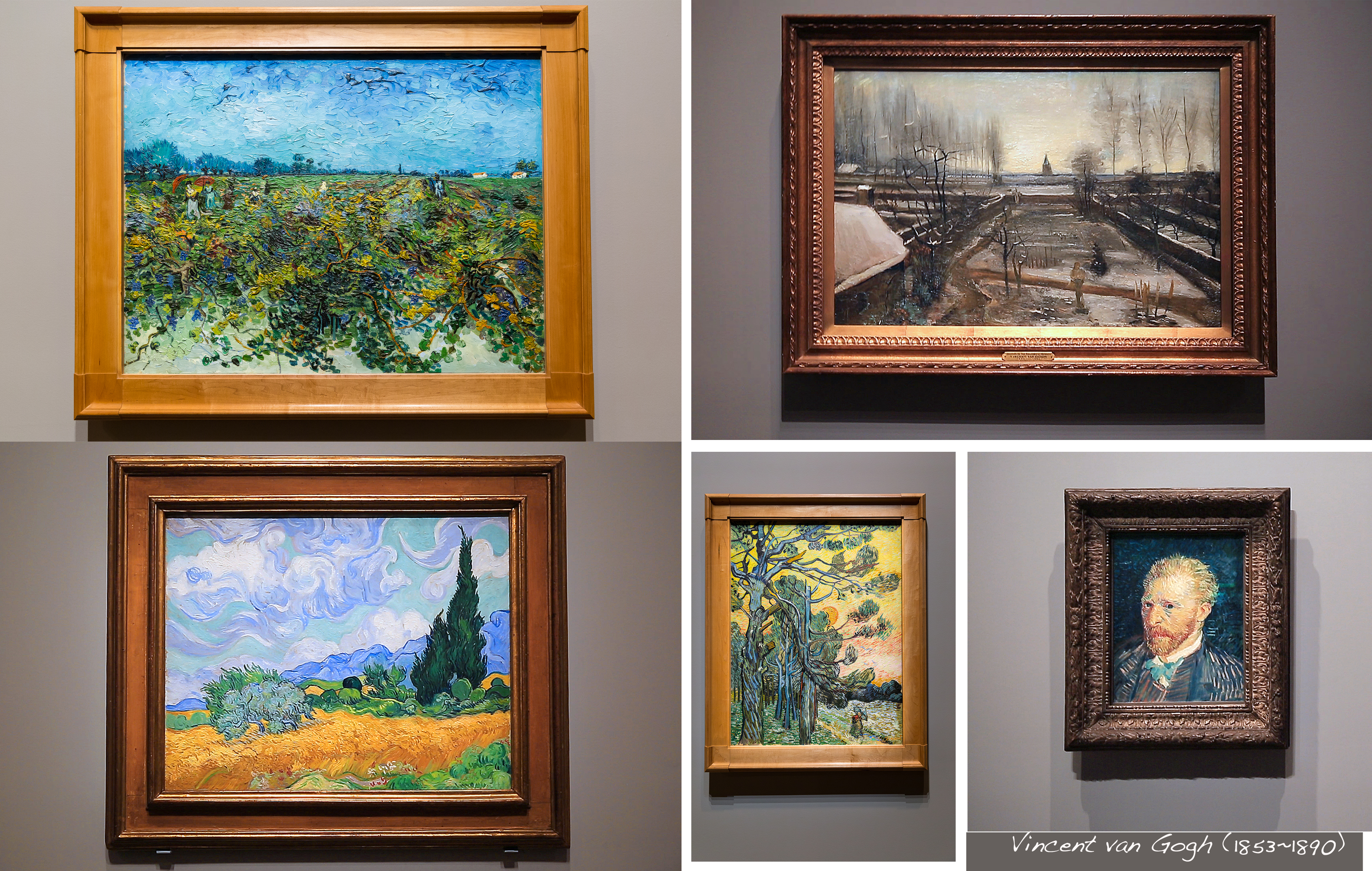 左上「綠色葡萄園」，左下「麥田裡的絲柏樹」，右上「雪中紐南牧師的花園」，右下「日落時分的松樹」與「梵谷自畫像」。