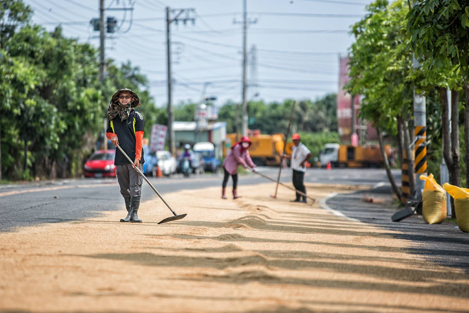 蕭凱嶸至今仍親自種稻，灌溉、除草、曬穀等農事全不假手他人。（蕭凱嶸提供）