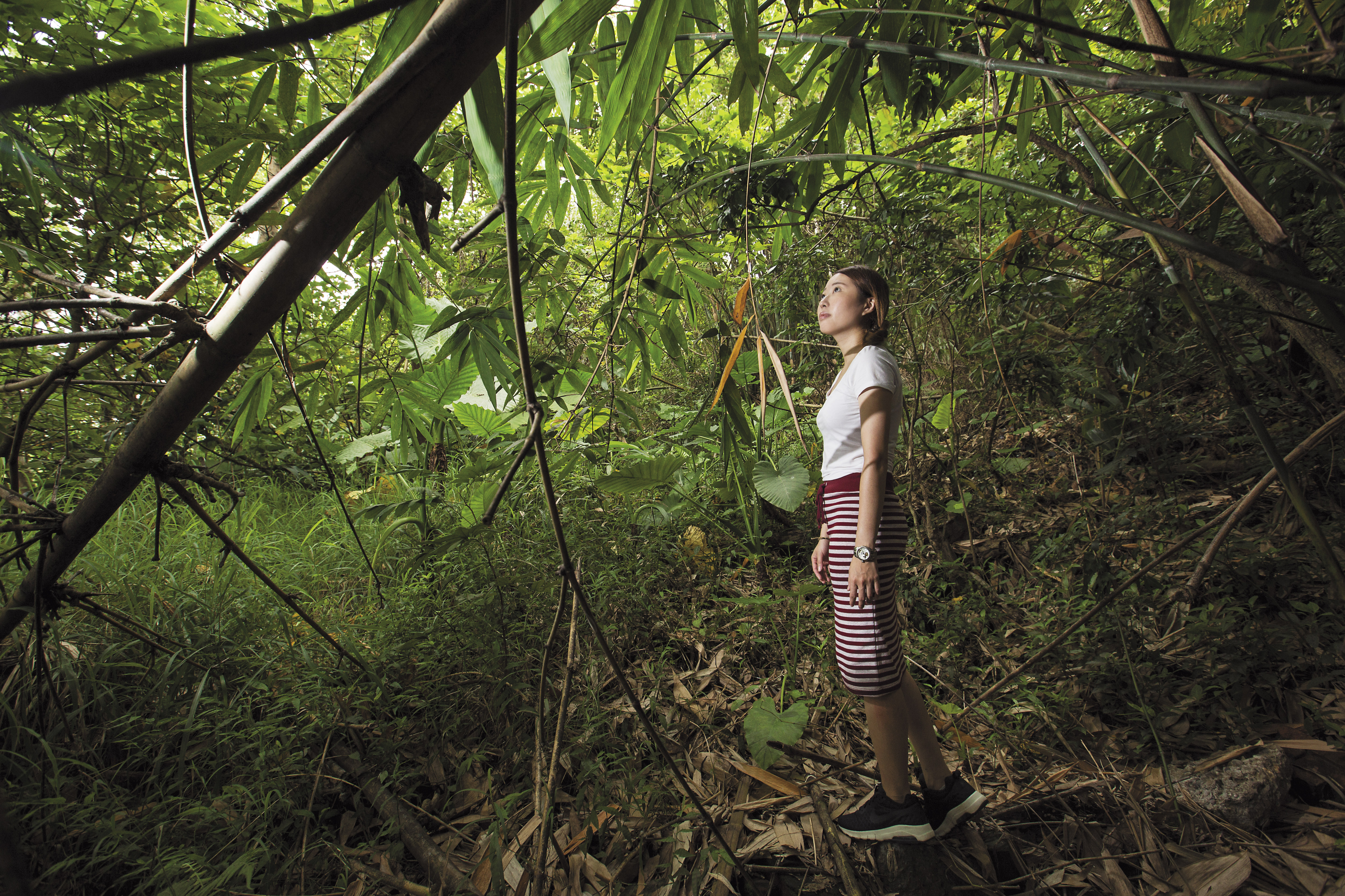 小靜老家位於豐原，巷內的所有房子都倒了，是豐原災情最慘重的地區。18年過去，老家舊址已成荒煙蔓草。