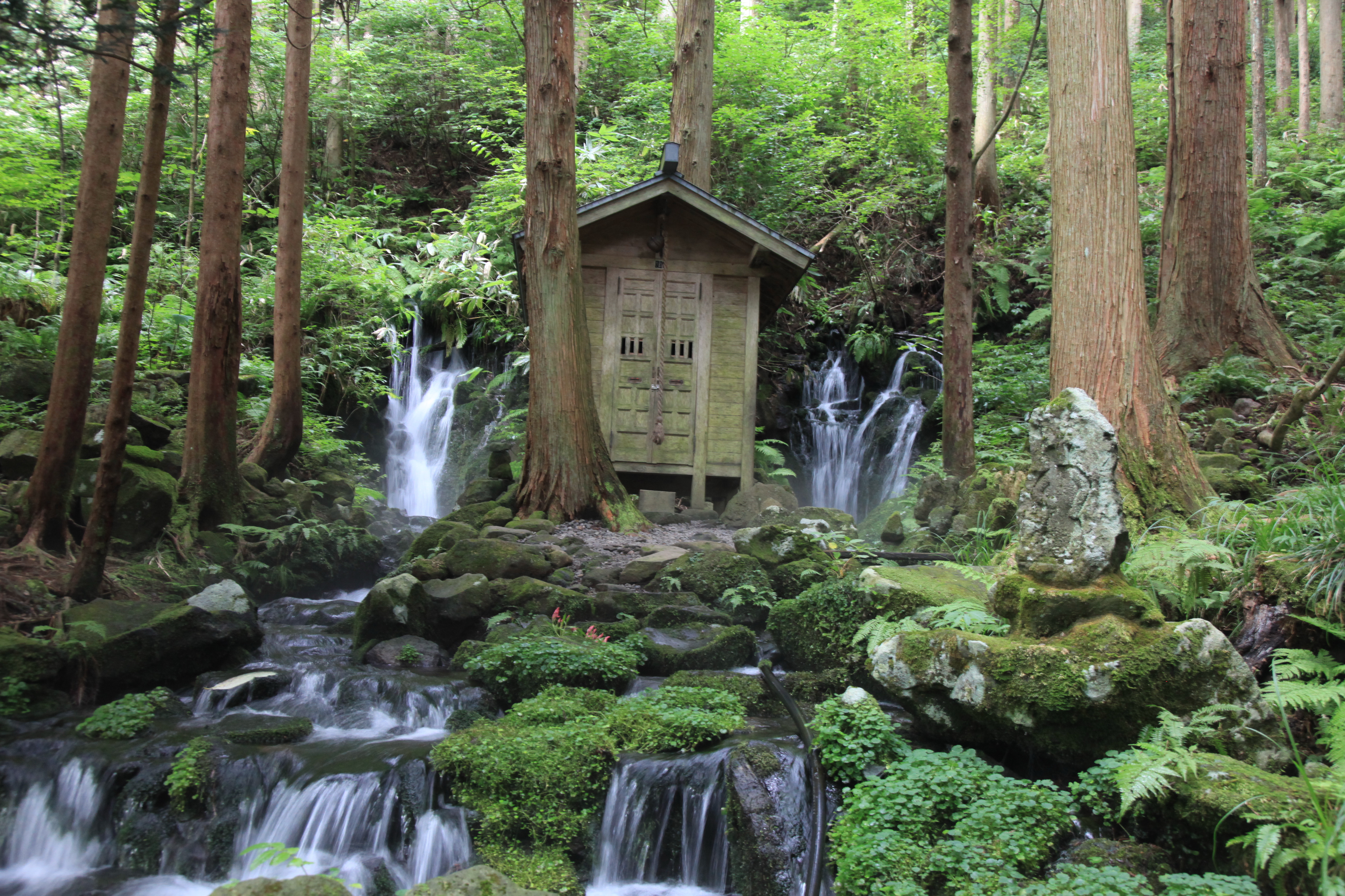 「胴腹瀑布」是相當少見的湧泉瀑布，美景讓人看得出神。（攝影：徐婉卿）