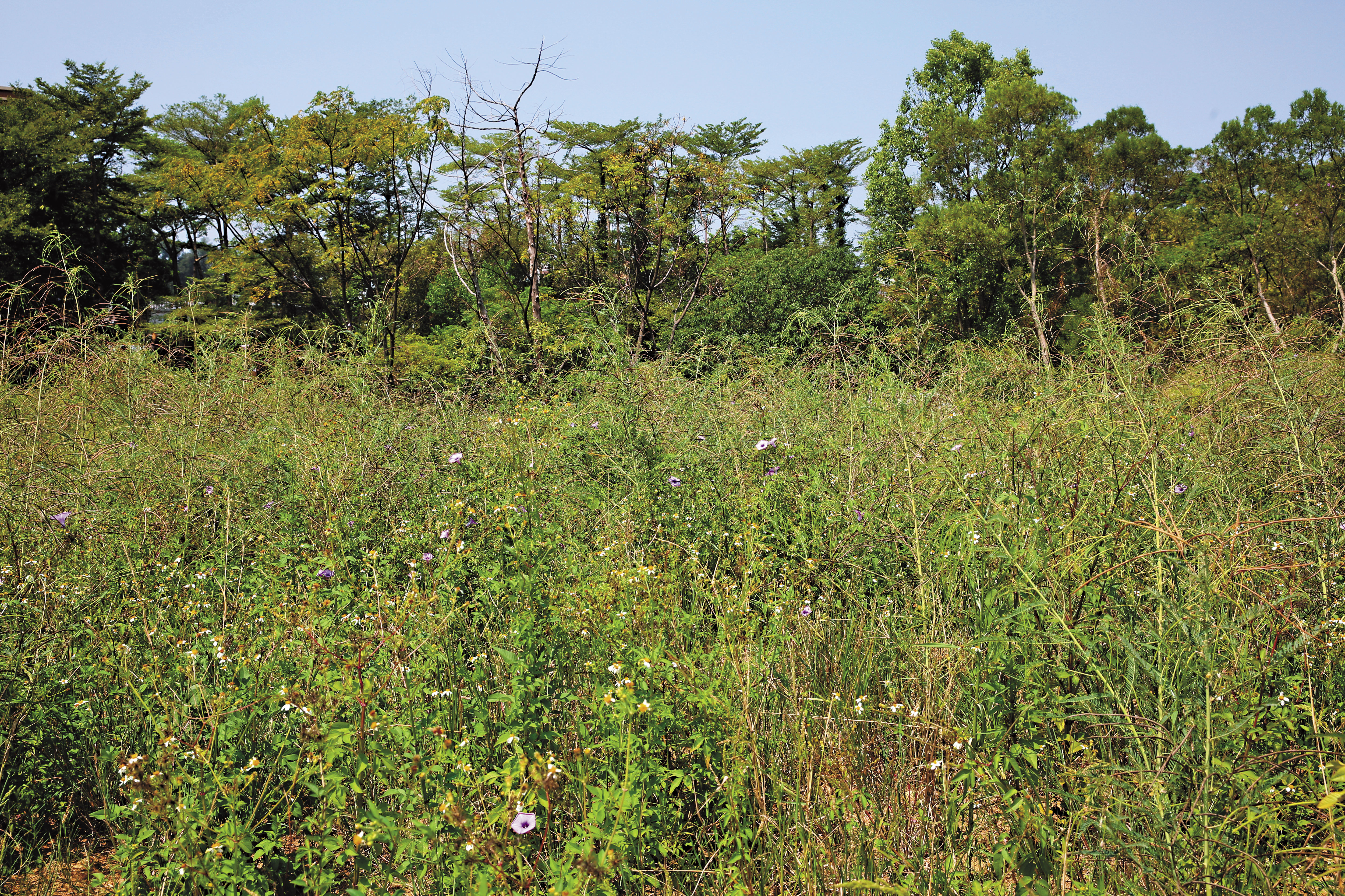 2002年，國中女生恩恩被歹徒拖到草叢性侵得逞，卻也意外成為雙屍案重要線索。