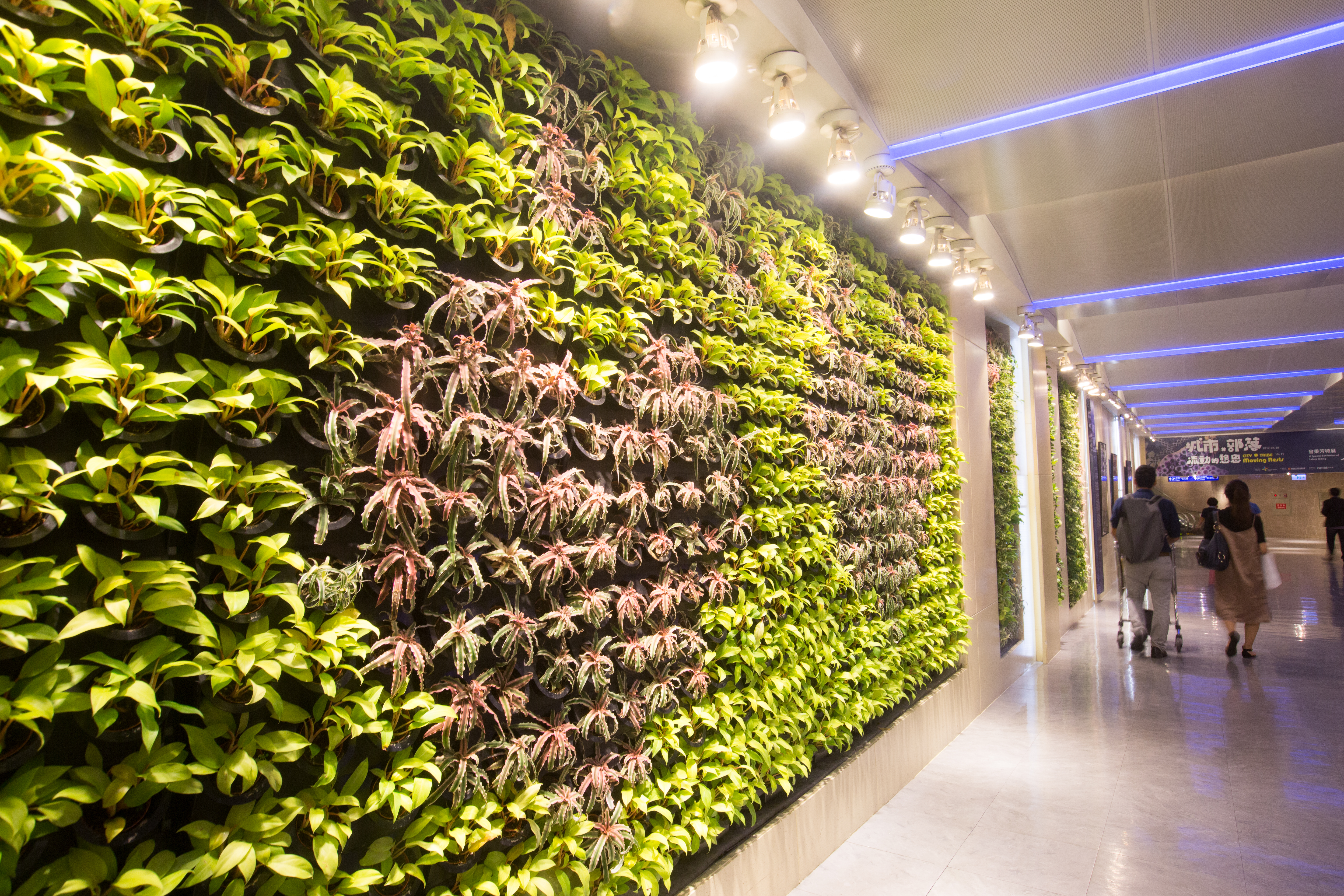 昇恆昌希望以植生牆讓旅客在視覺上有綠美化之感,也可對節能減碳帶來直接的貢獻。