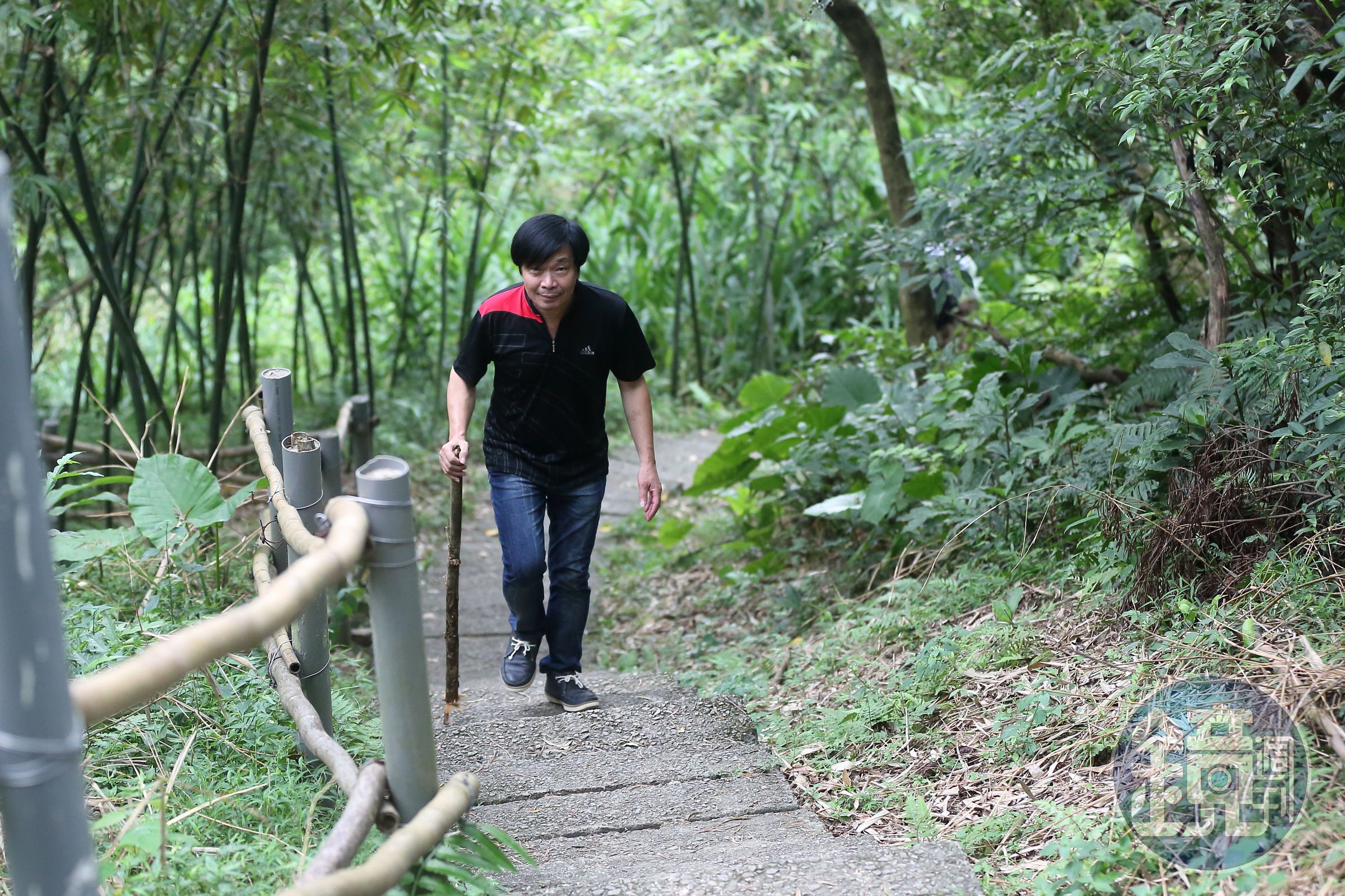 撿根樹枝登山，就是洪便當訓練肺活量的方式。