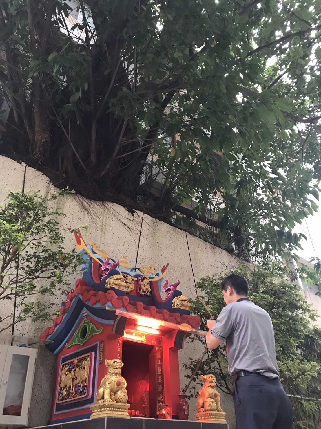 飯店庭院蓋了一座土地公廟,裡頭住的是落難土地公。