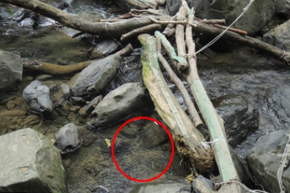 樓翁與林父的土地投資糾紛，卻遭到林父兒子勒斃分屍。