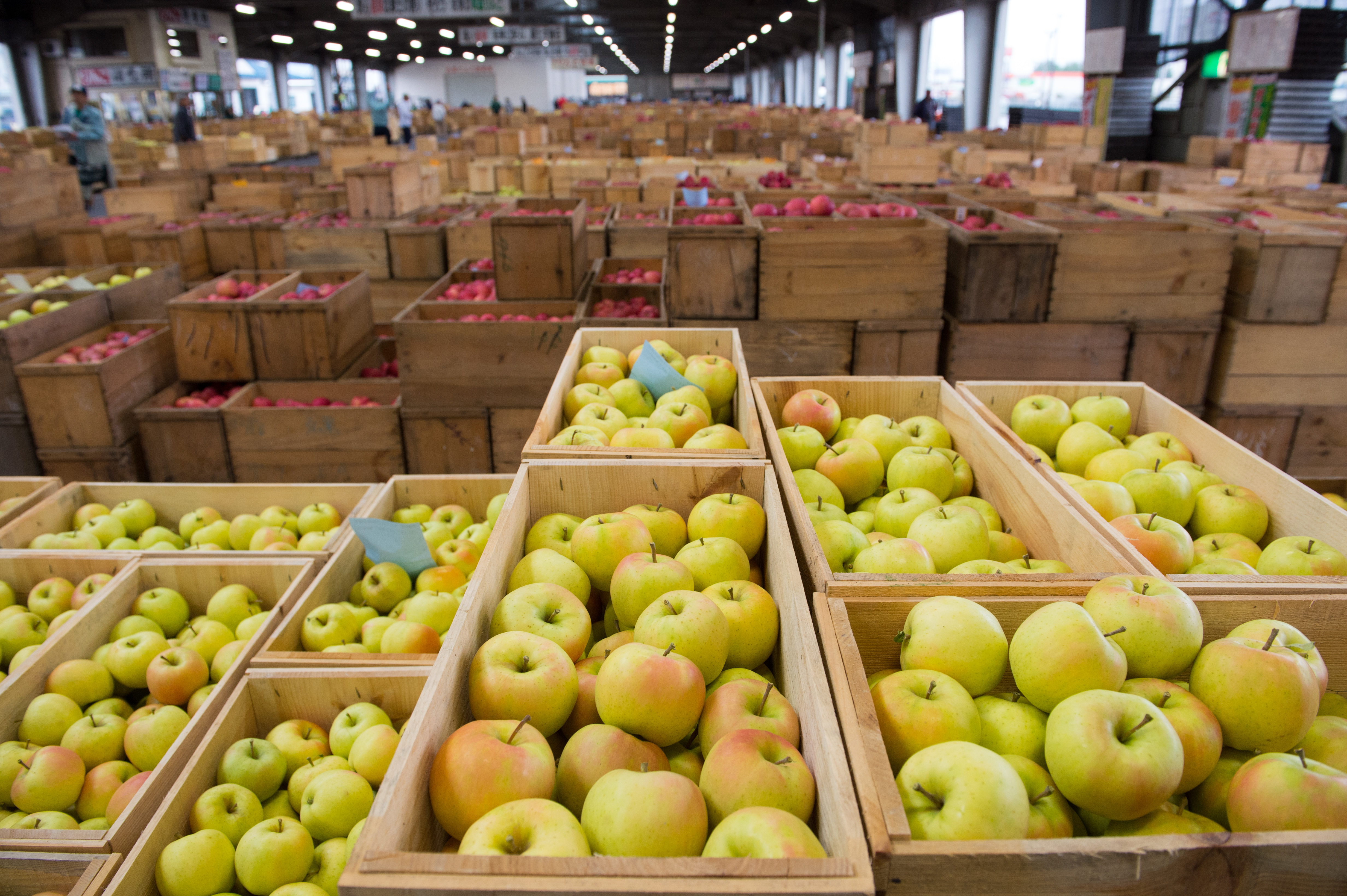 走進弘前市蘋果交易市場，看到的是這輩子見過最多的蘋果，撲鼻而來也是滿室的蘋果香。