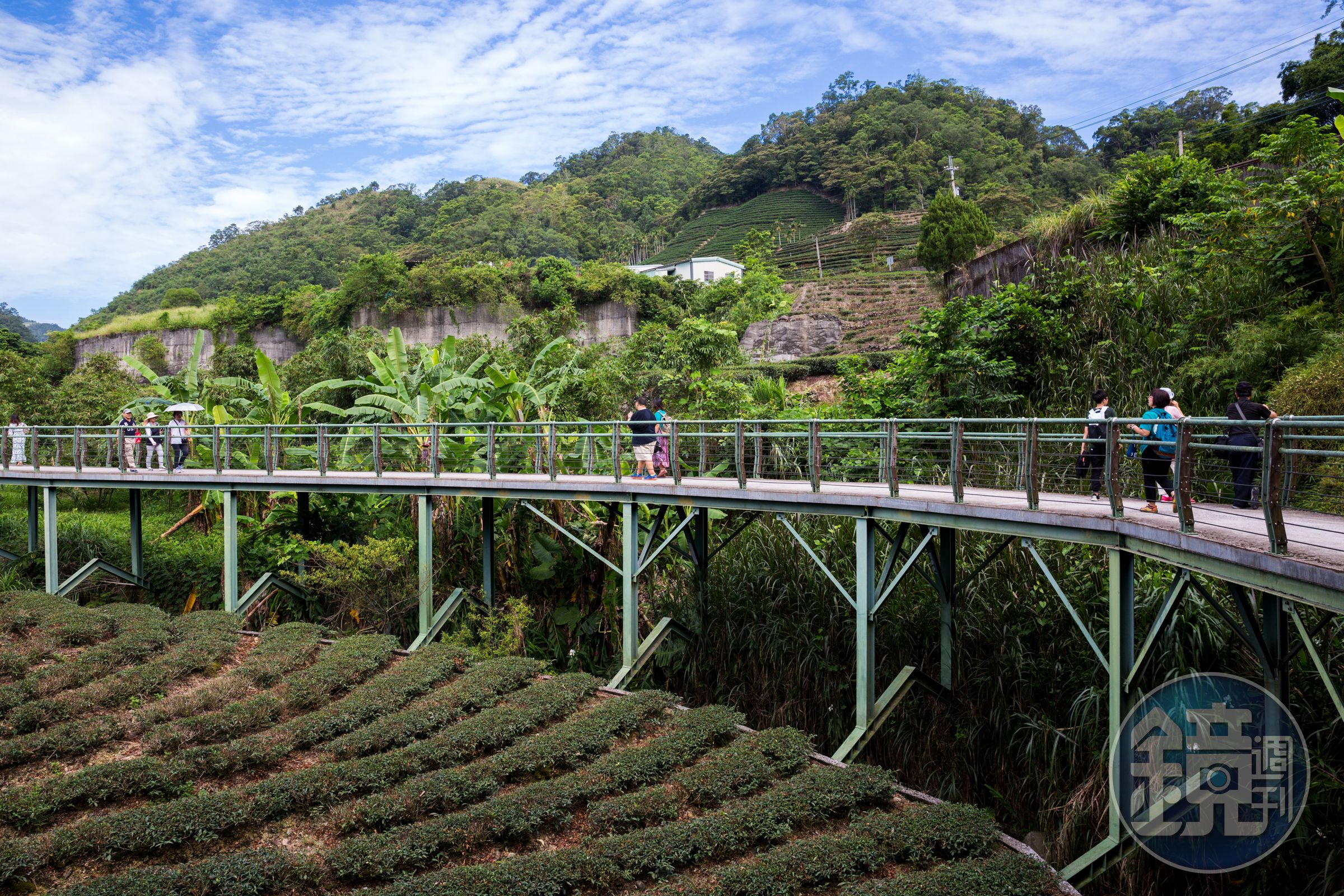 「北勢溪自行車道」的最大特色是，沿途多為高架木棧道，景觀視野極佳。