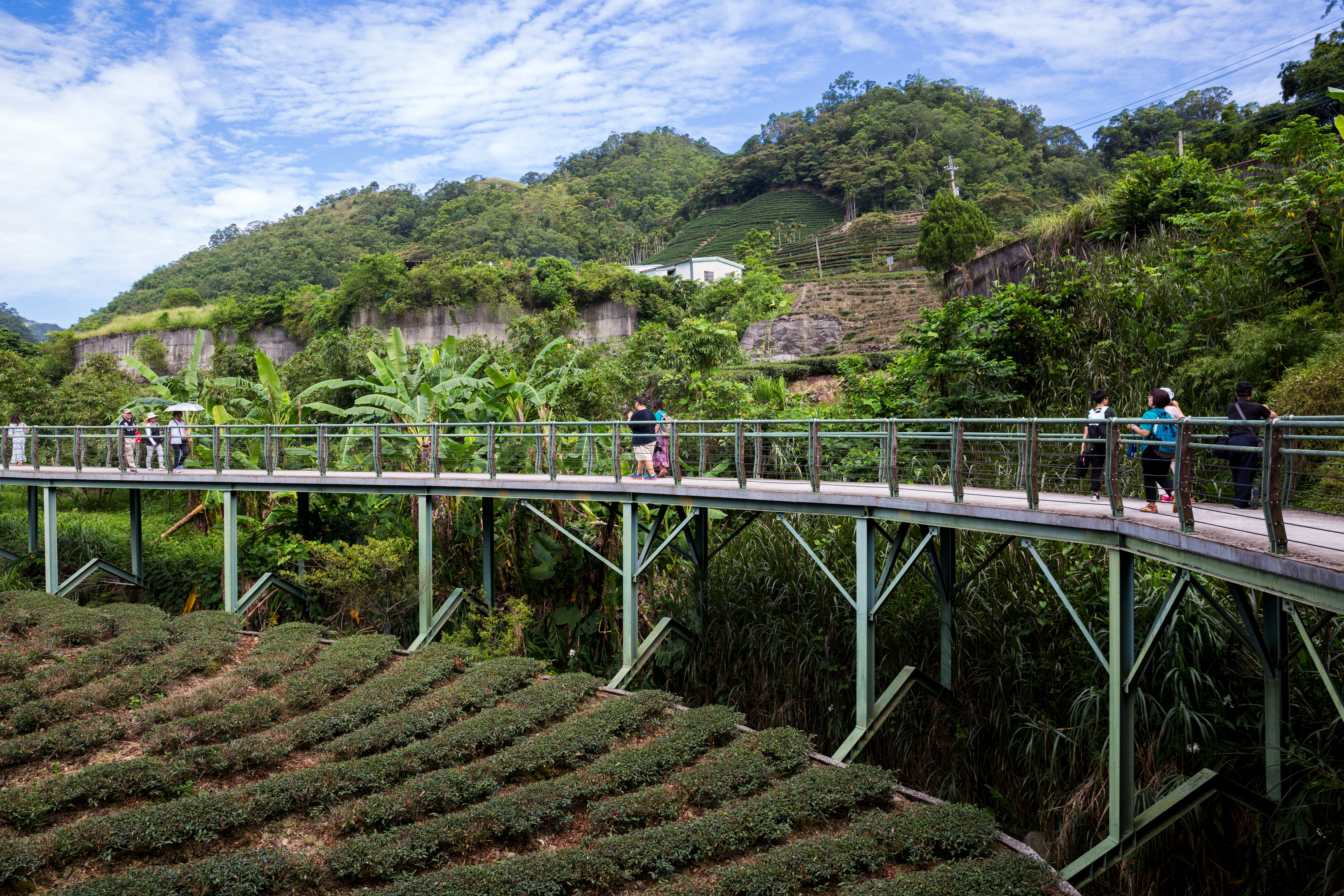 「北勢溪自行車道」的最大特色是，沿途多為高架木棧道，景觀視野極佳。