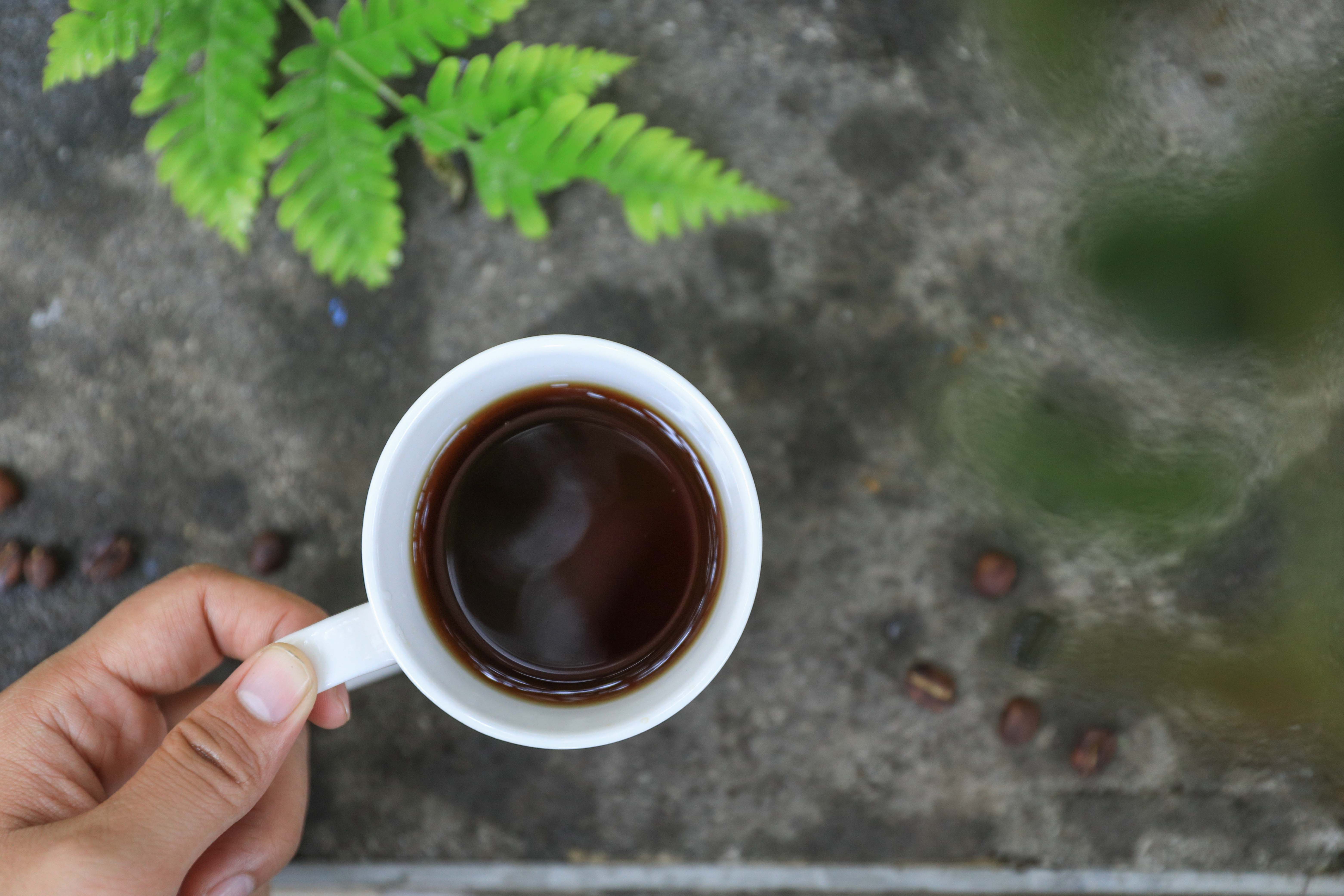 在樂野部落，可以品嘗一杯完全自搗自烘的咖啡。