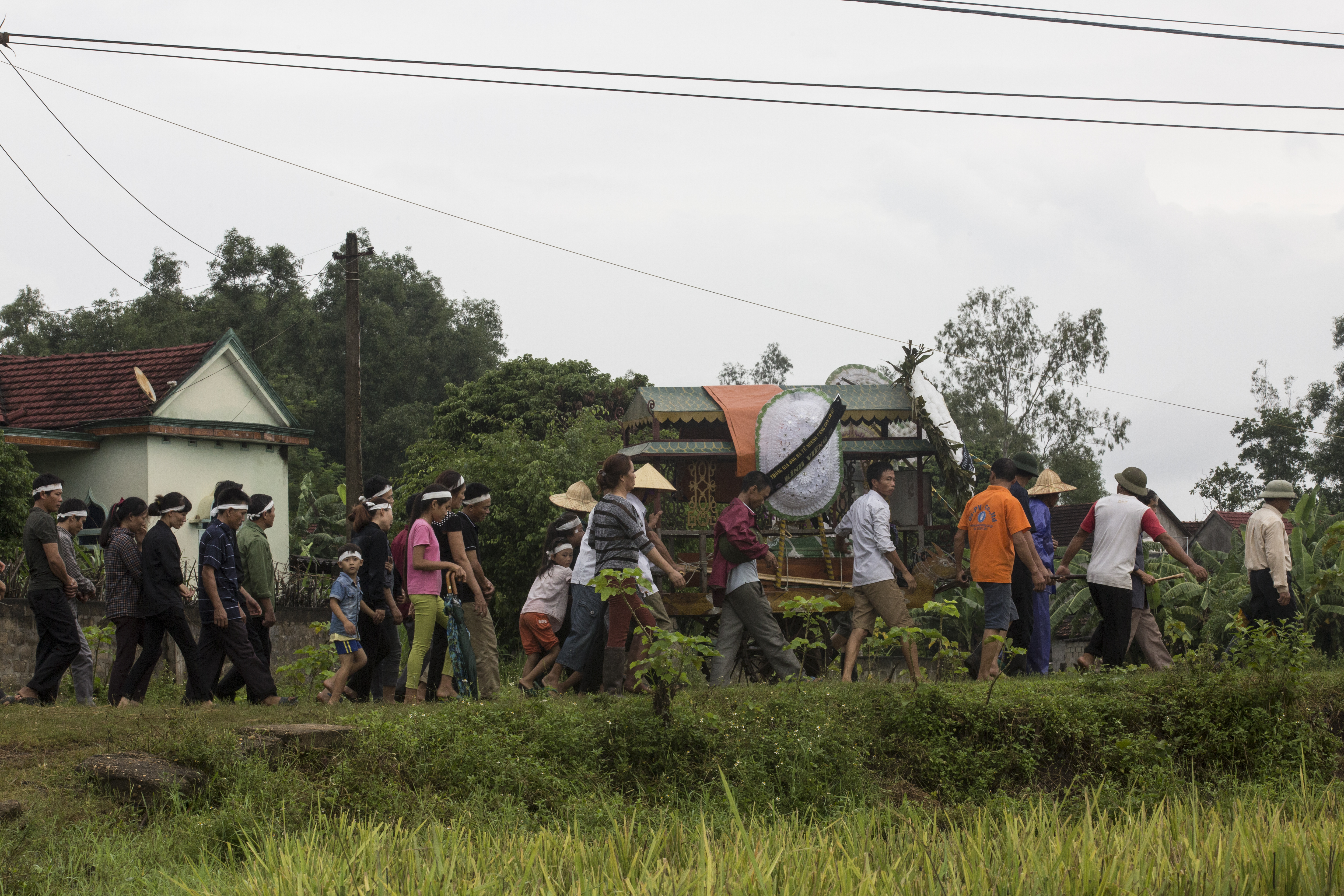 送葬隊伍經過稻米田與水牛群，那曾是阮國非夢想的返鄉後生活。