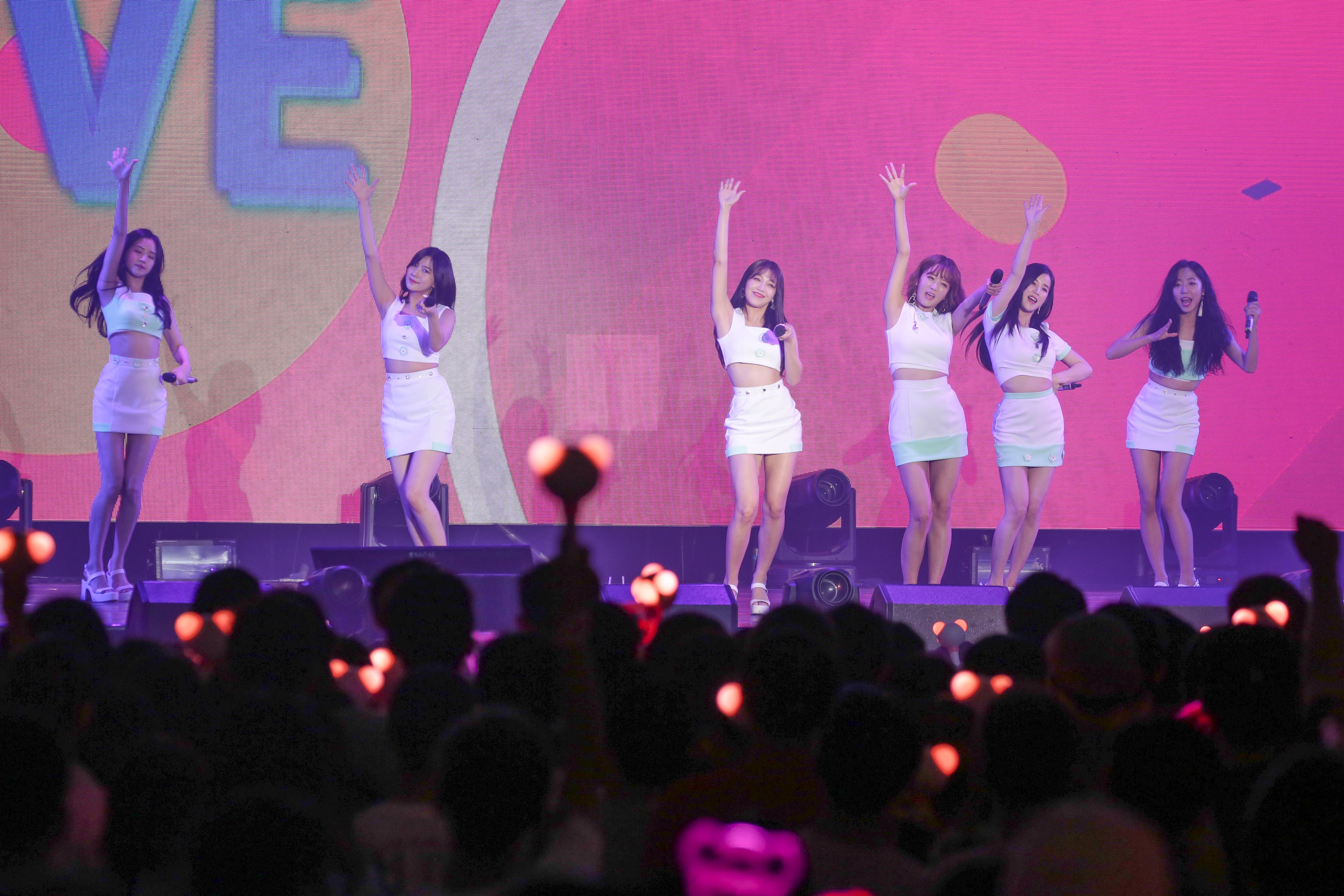 韓女團APINK 5度台灣開唱,吸引1,800名粉絲進場尖叫應援。