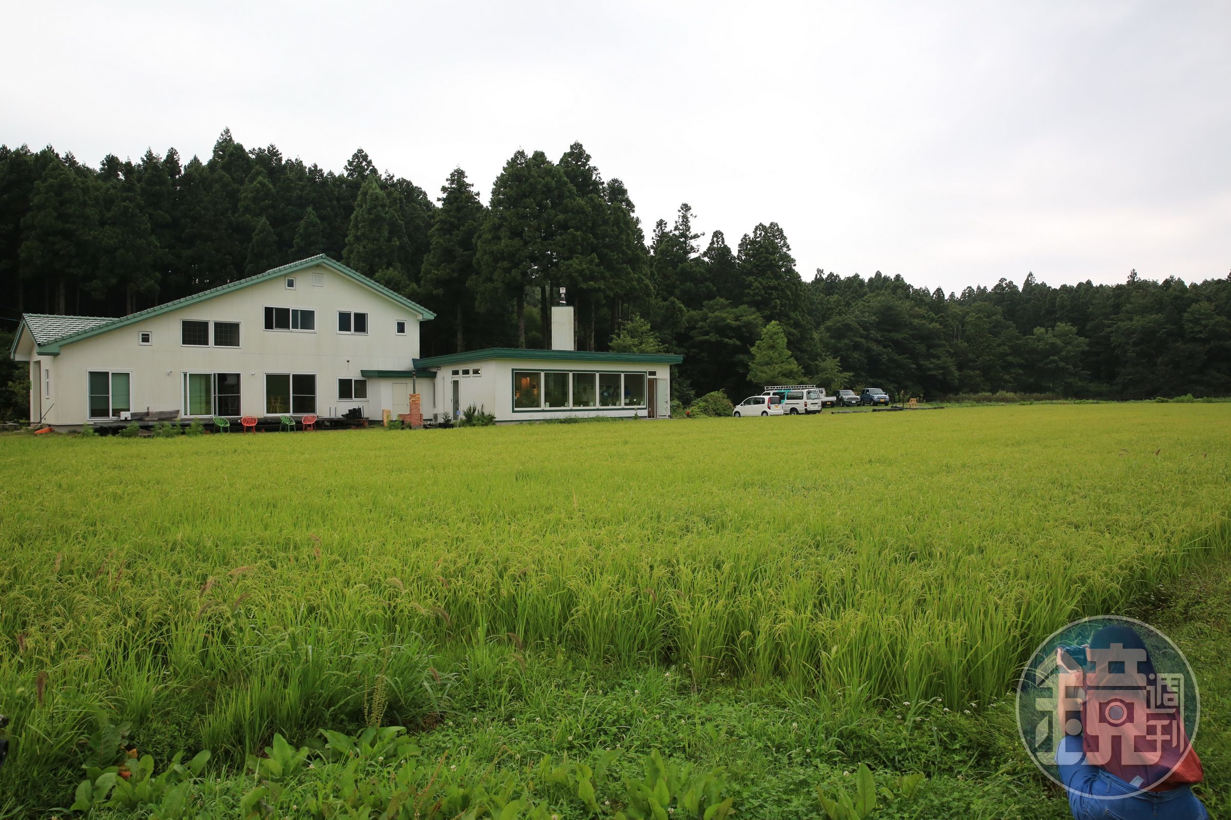 「翠」前方這片金黃稻穗，就是最好的視野。