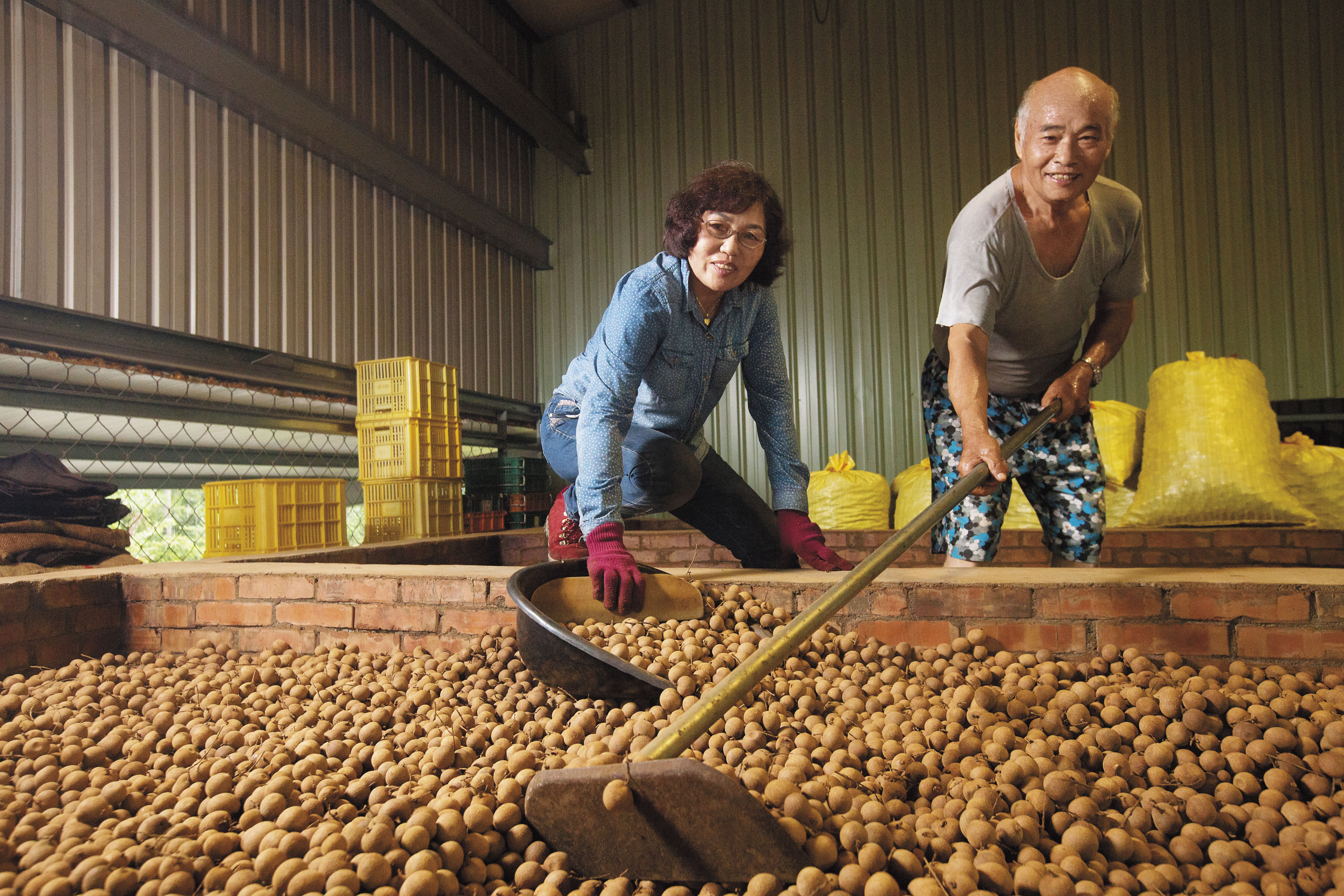 台南東山區青山聚落保留土窯烘焙龍眼乾古法，東之選的老闆羅新豐和妻子黃素貞40多年前返家傳承祖傳農業。