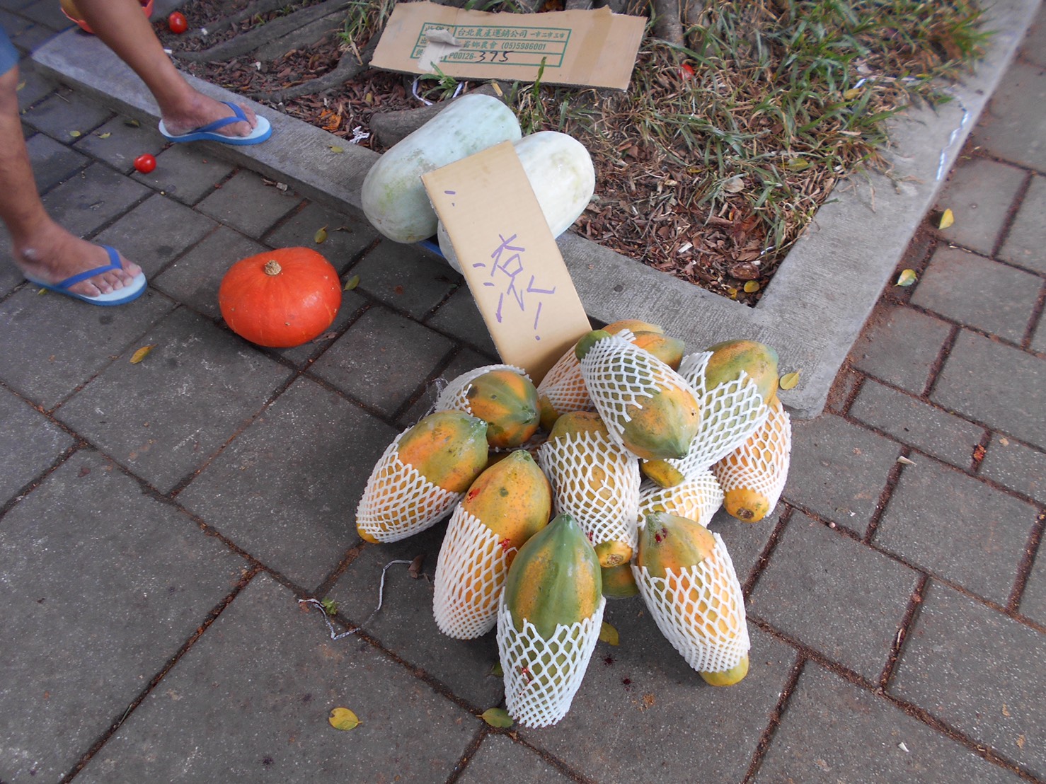 42歲的楊姓水果攤商，在販售的木瓜貼「滾」字，有民眾經過好奇詢問，卻被持菜刀砍傷左耳。（警方提供）