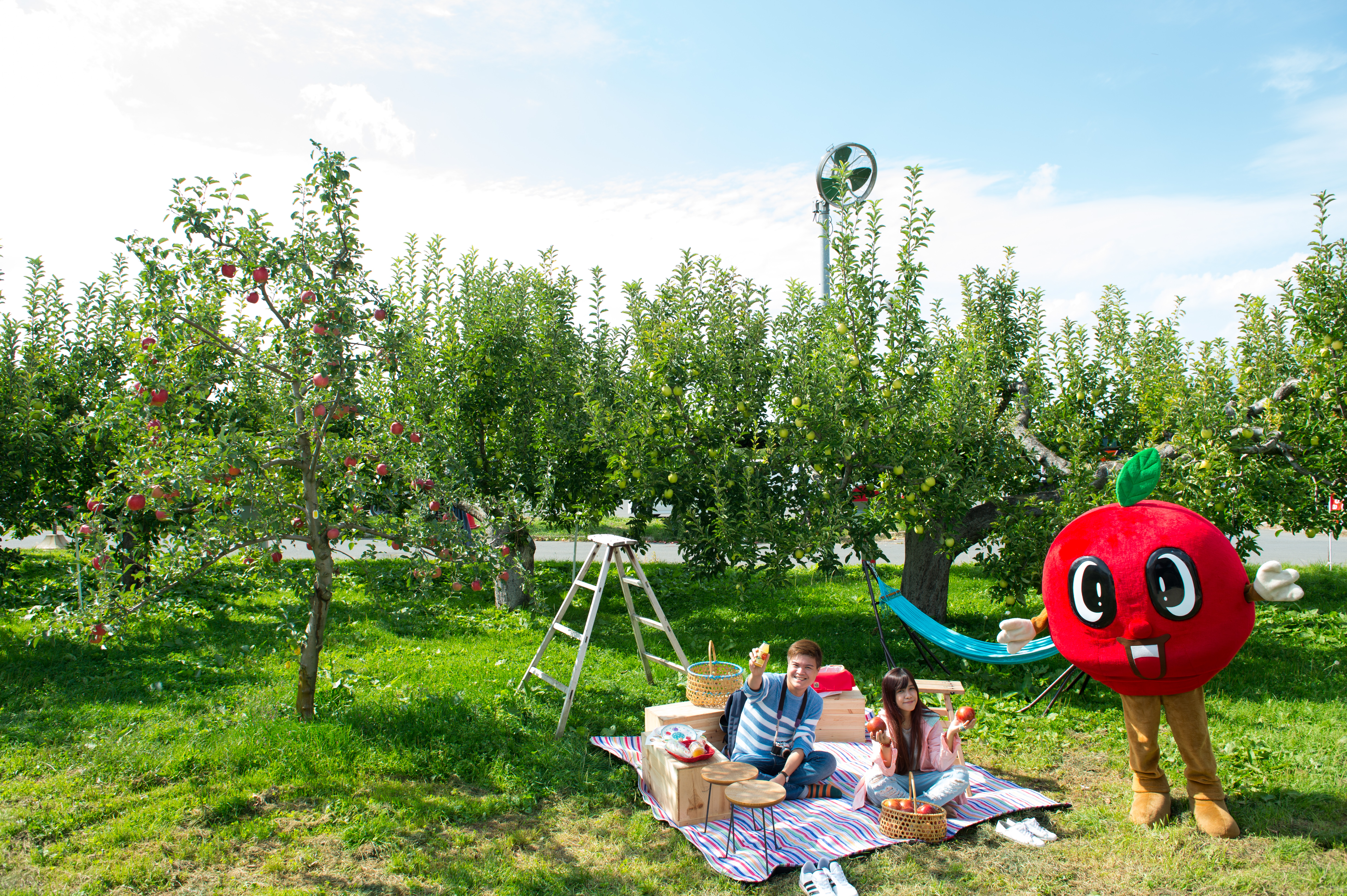 秋天來到弘前市蘋果公園，席地大啖蘋果最愜意。