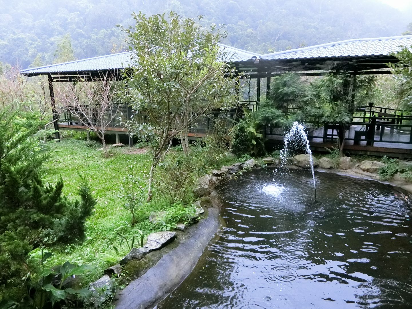 曾經風光明媚的景觀餐廳，如今卻蠅滿為患。（民眾提供）