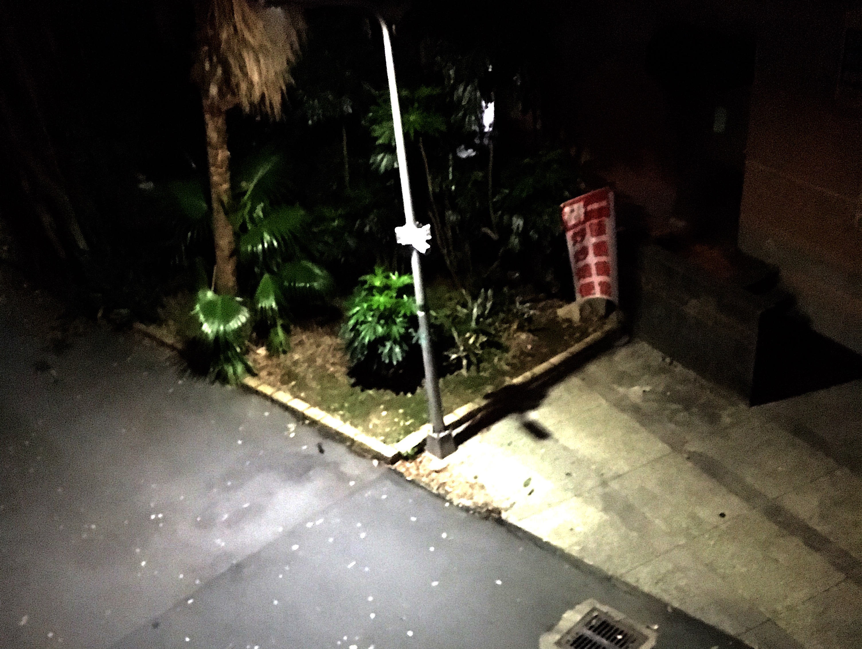 台大校園多了份靜謐，卻是在張生自刎的命案現場未舉行「招魂儀式」，靈異傳說不逕而走。