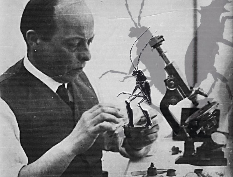 1910年，波蘭導演 Wtadystaw Starewicz以昆蟲軀殼做成玩偶，逐幀拍成定格木偶動畫《雄鹿甲蟲之戰》。（翻攝自Culture.Pl ）