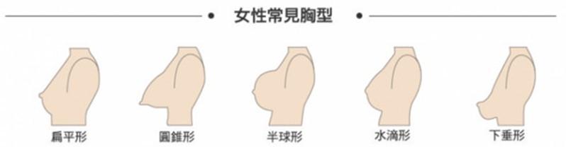 胸部大致分為五大類