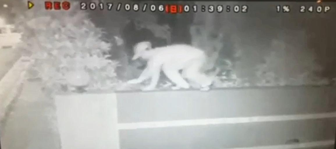 一名41歲毒蟲為了毒癮鋌而走險闖進內湖民宅行竊，再把贓物藏到交流道附近，最終仍難逃法網。（警方提供）