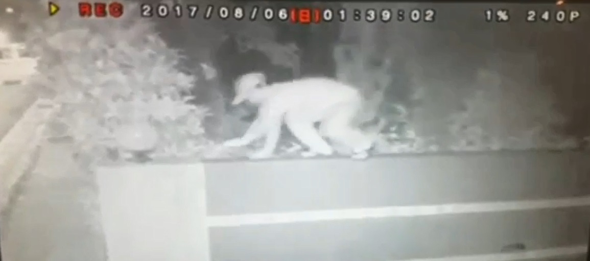 一名41歲毒蟲為了毒癮鋌而走險闖進內湖民宅行竊，再把贓物藏到交流道附近，最終仍難逃法網。（警方提供）