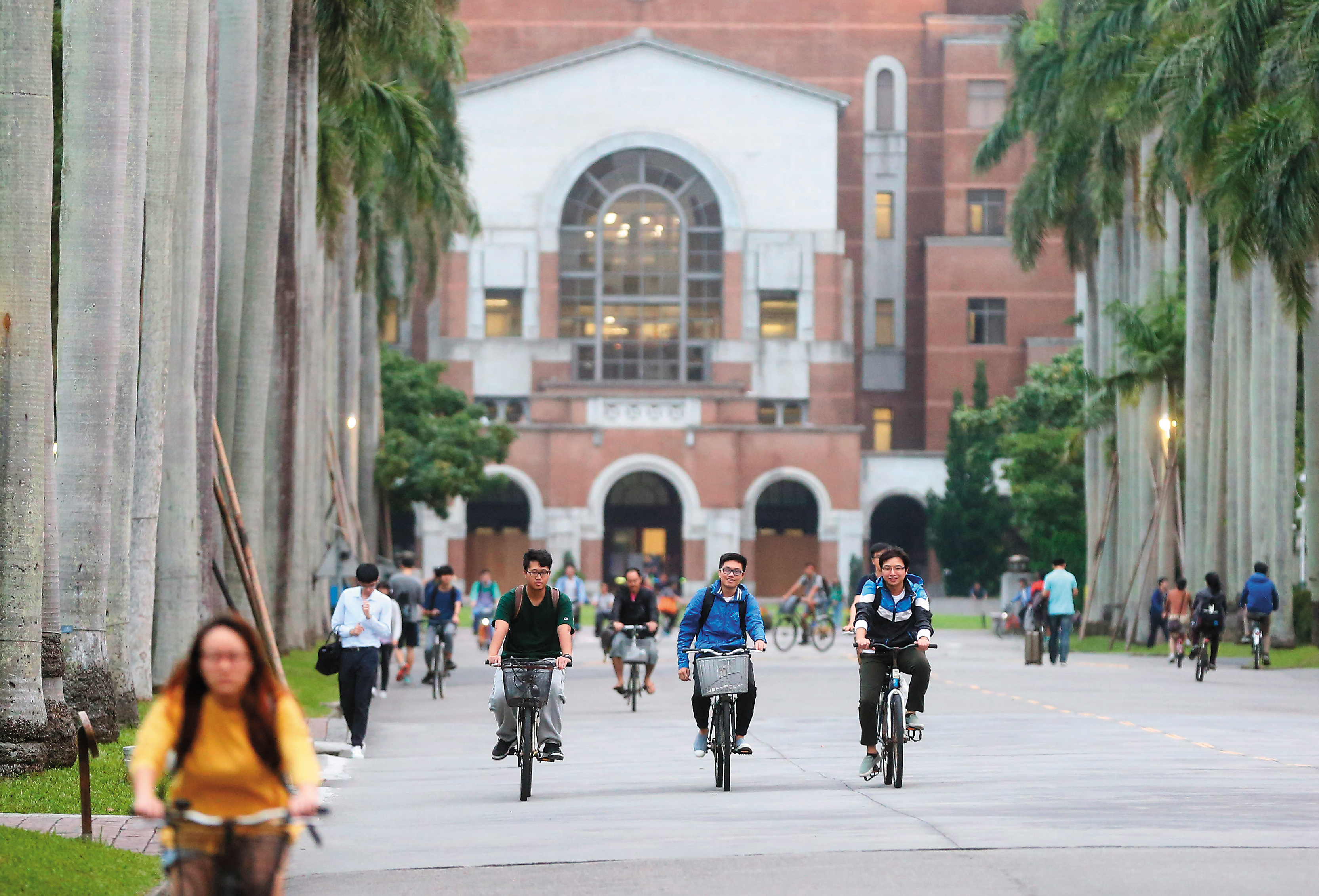 台大椰林大道一如往常，而校長遴選正上演一場爭奪戰，明年1月5日就會揭曉。