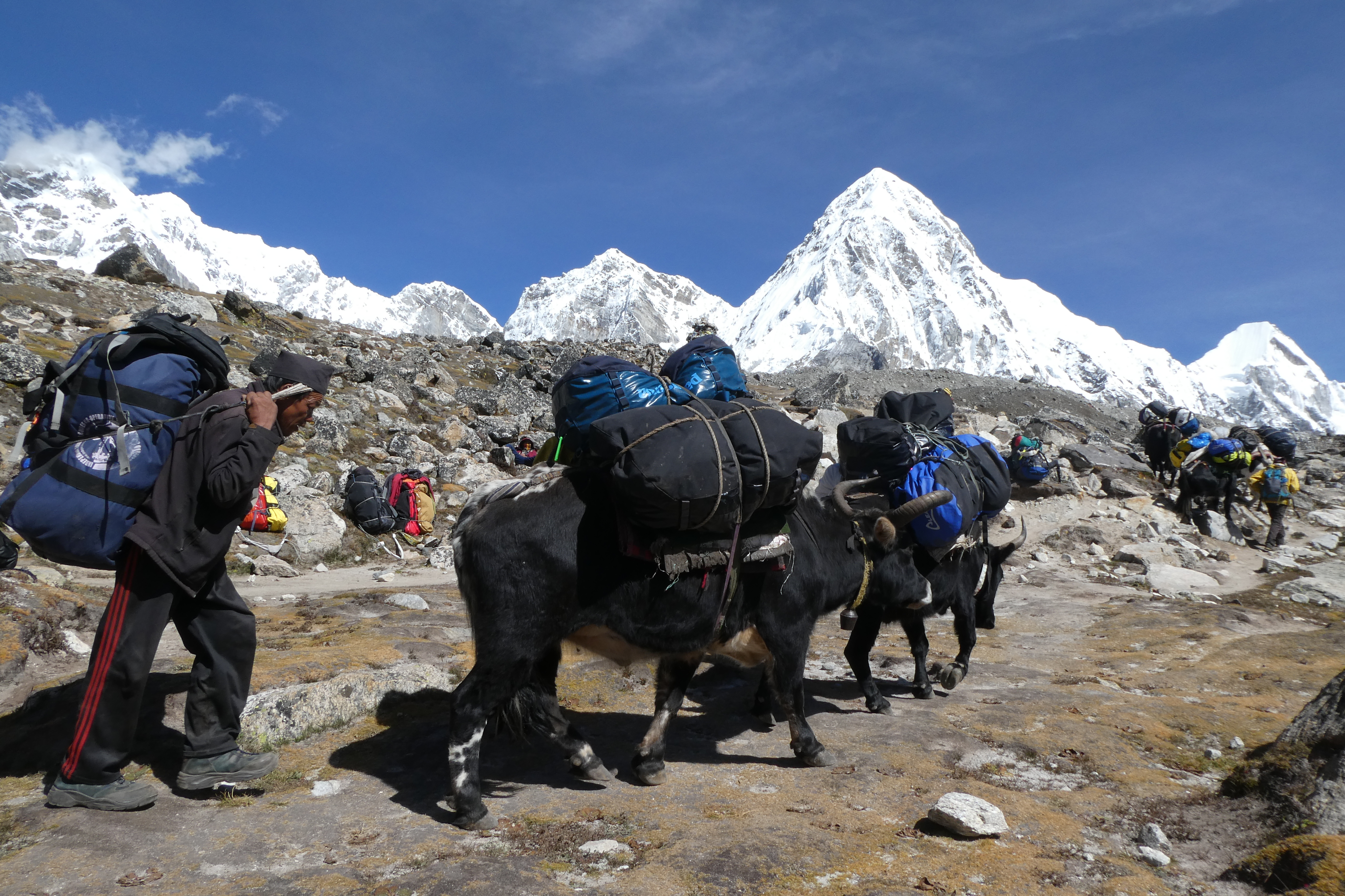 沿途雪峰圍繞，是行走EBC沿途最美的風景。