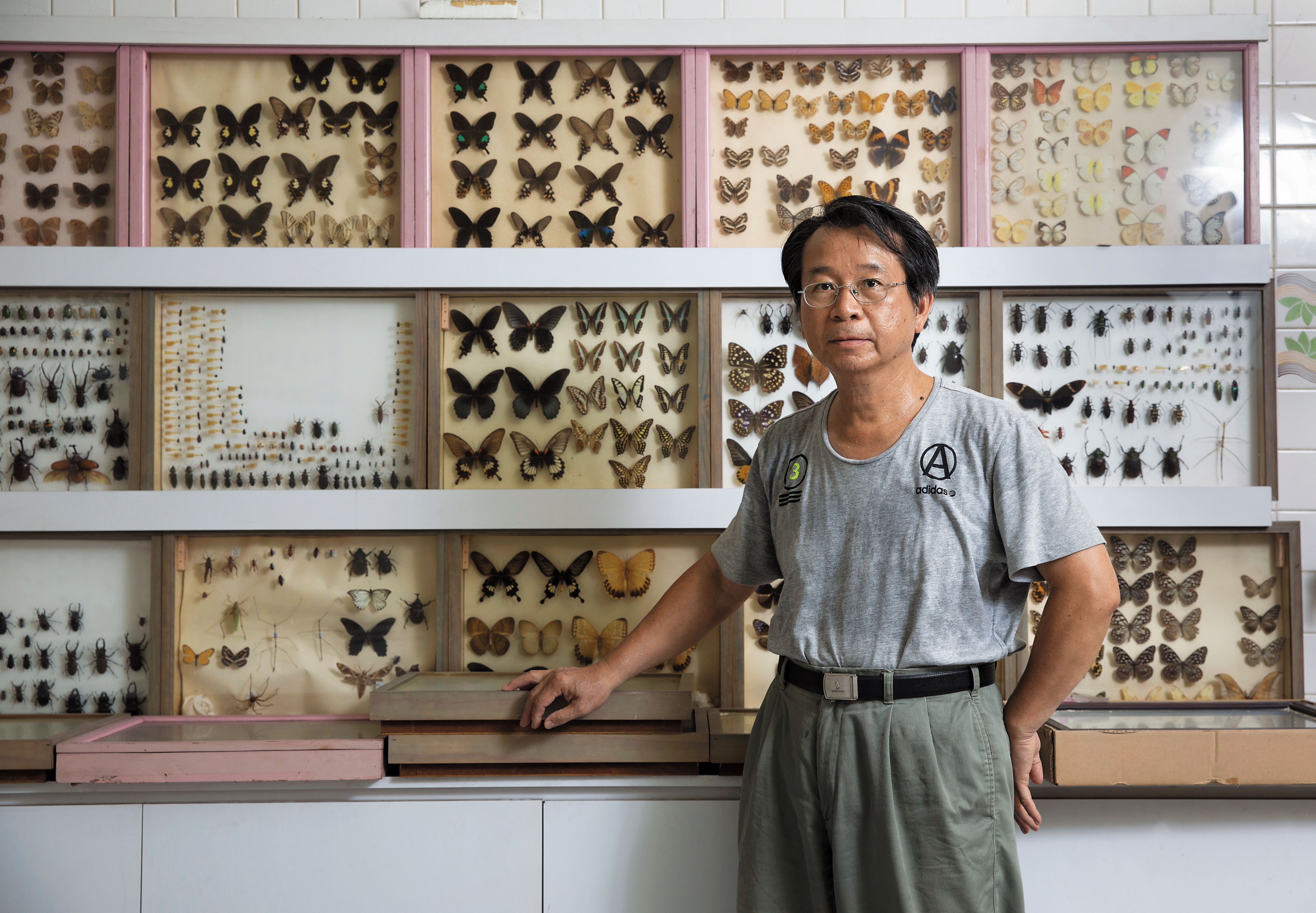 林文泰（圖）的小兒子林嘉智從小就喜歡觀察螞蟻和蟑螂，後來開始做標本收集昆蟲，大至巴掌大的蝴蝶，小到比螞蟻還小的不知名昆蟲，都成為他收藏的一部分。