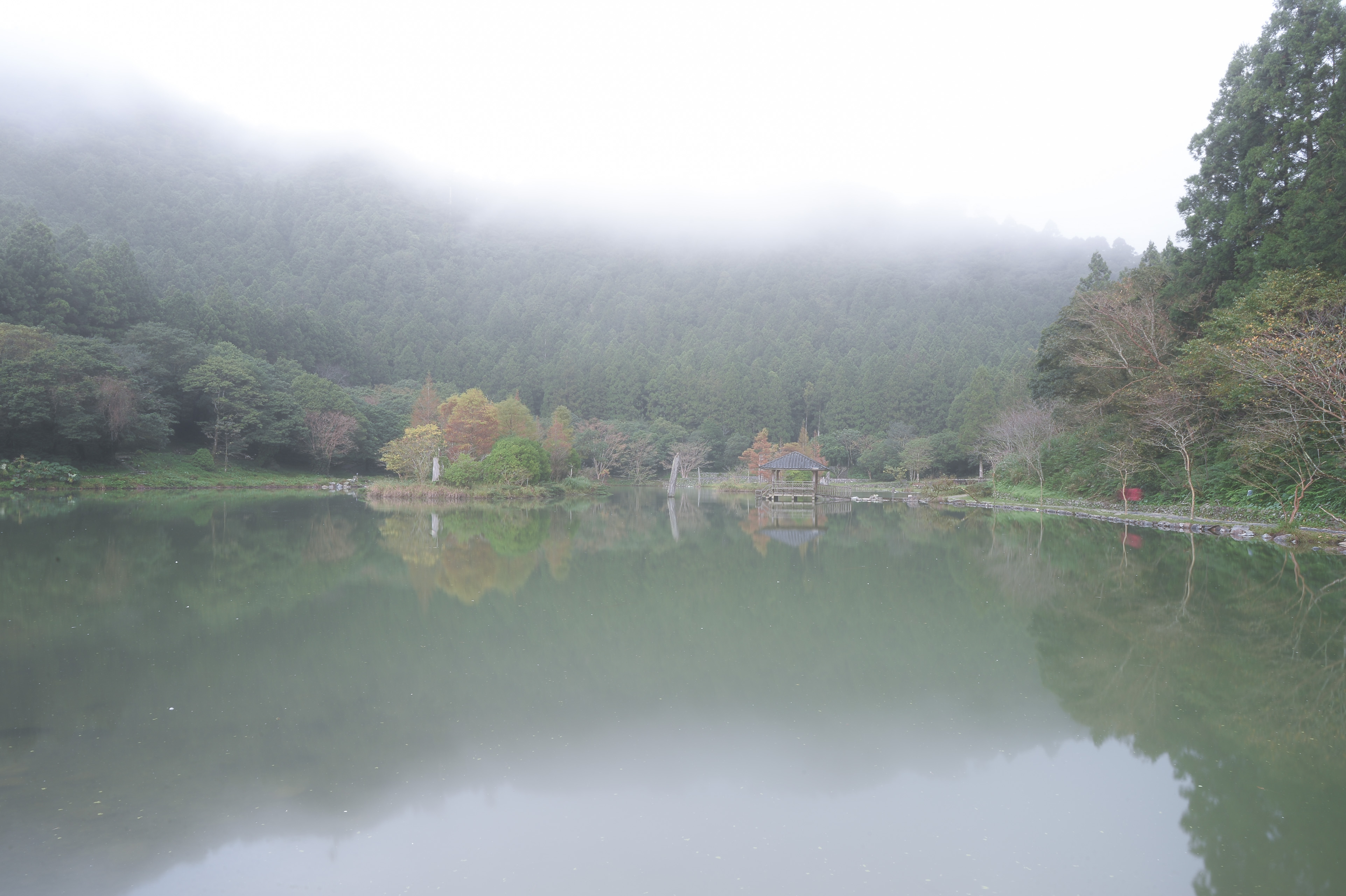 薄霧微雨，遠點看，也是美。