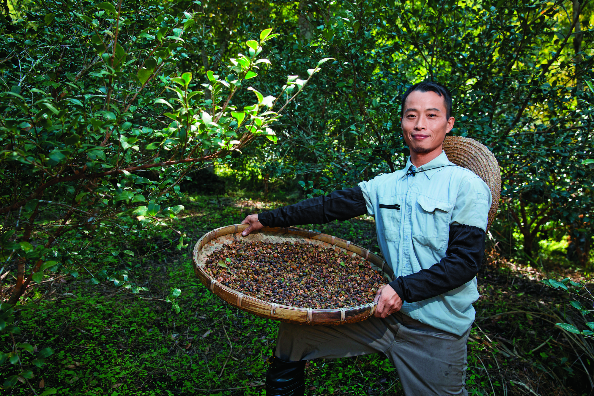 二代老闆劉耀聰謹守傳承下來的自然農法,得以讓茶園茁壯永續生長。
