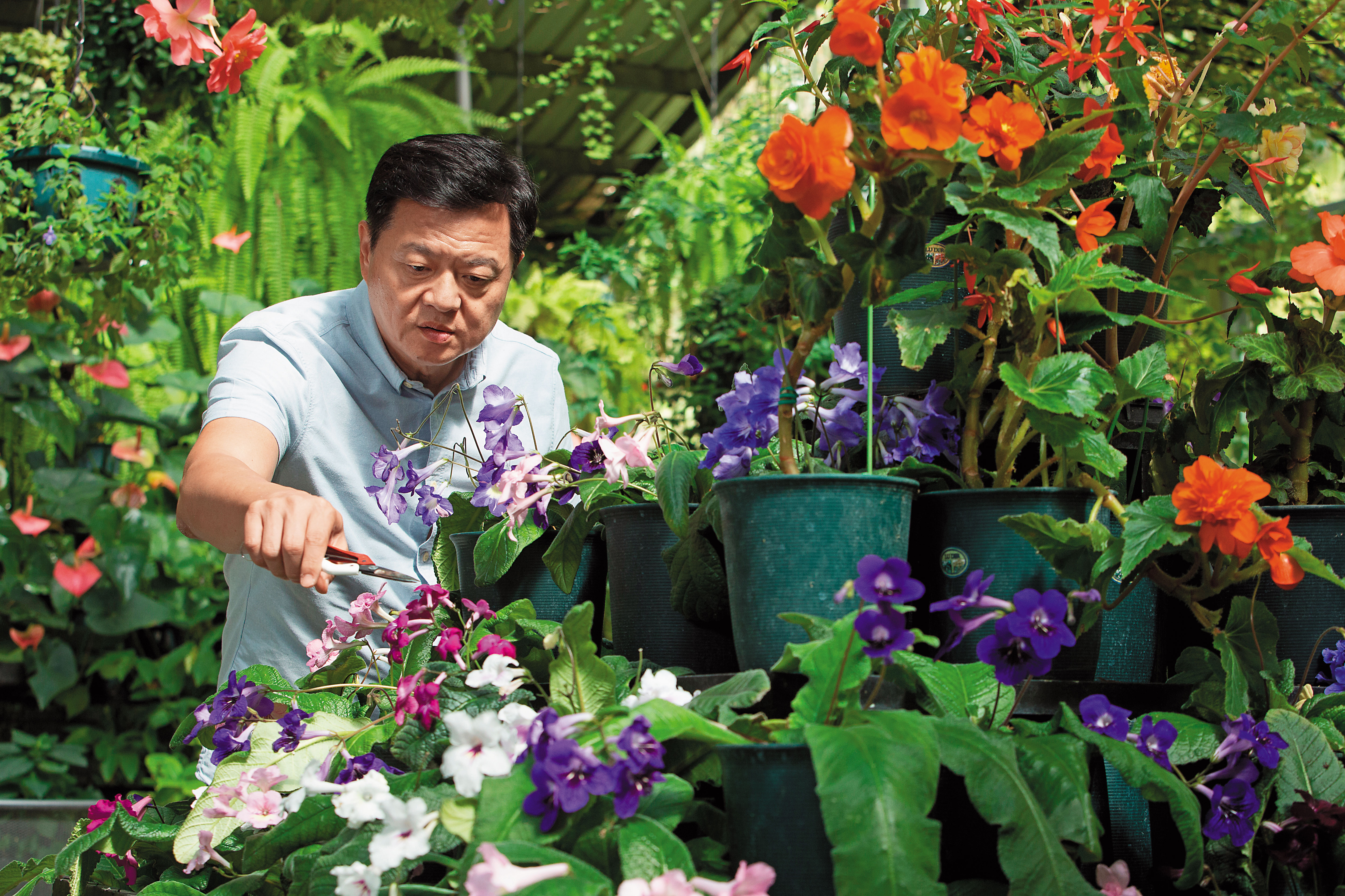 周錫瑋在一手打造的「台灣花鳥園」中受訪，他一邊修剪花草，一邊笑稱自己「辣手摧花」，但透過修剪，才能使植物健康生長、有利開花。