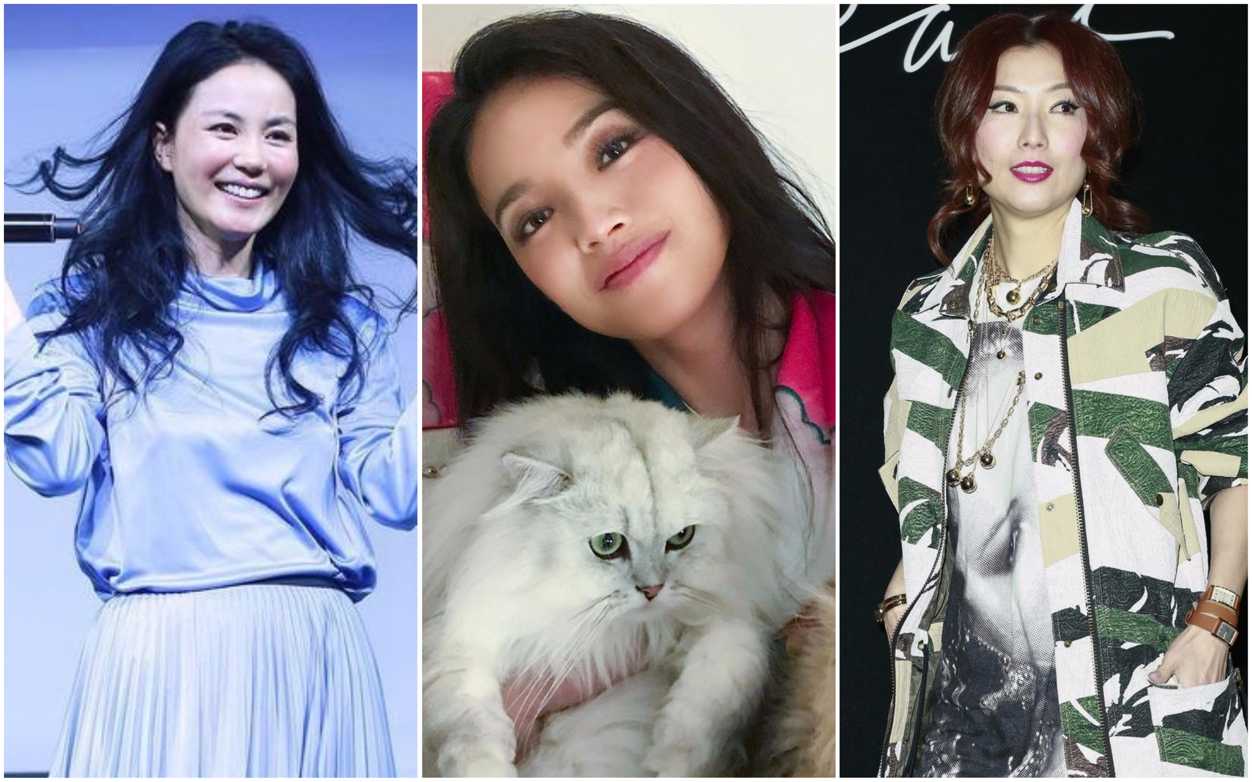 【言玲神復合】女星戀情變長壽劇　鄭秀文花25年居冠