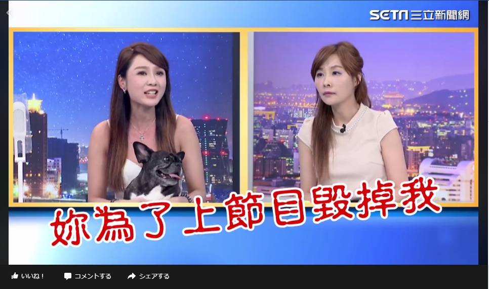 說謊的海倫清桃、整形的許聖梅在談話性節目上大吵。（翻攝三立新聞）