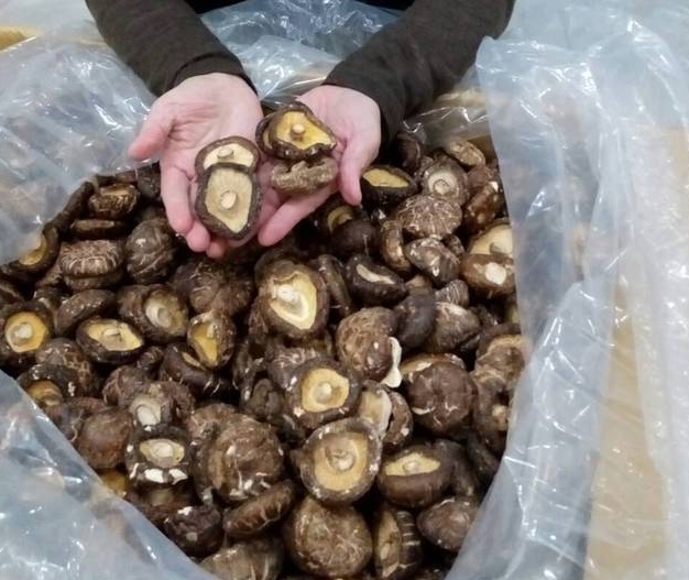 中國劣質香菇混充韓國高檔香菇販售。（新北市衛生局提供）