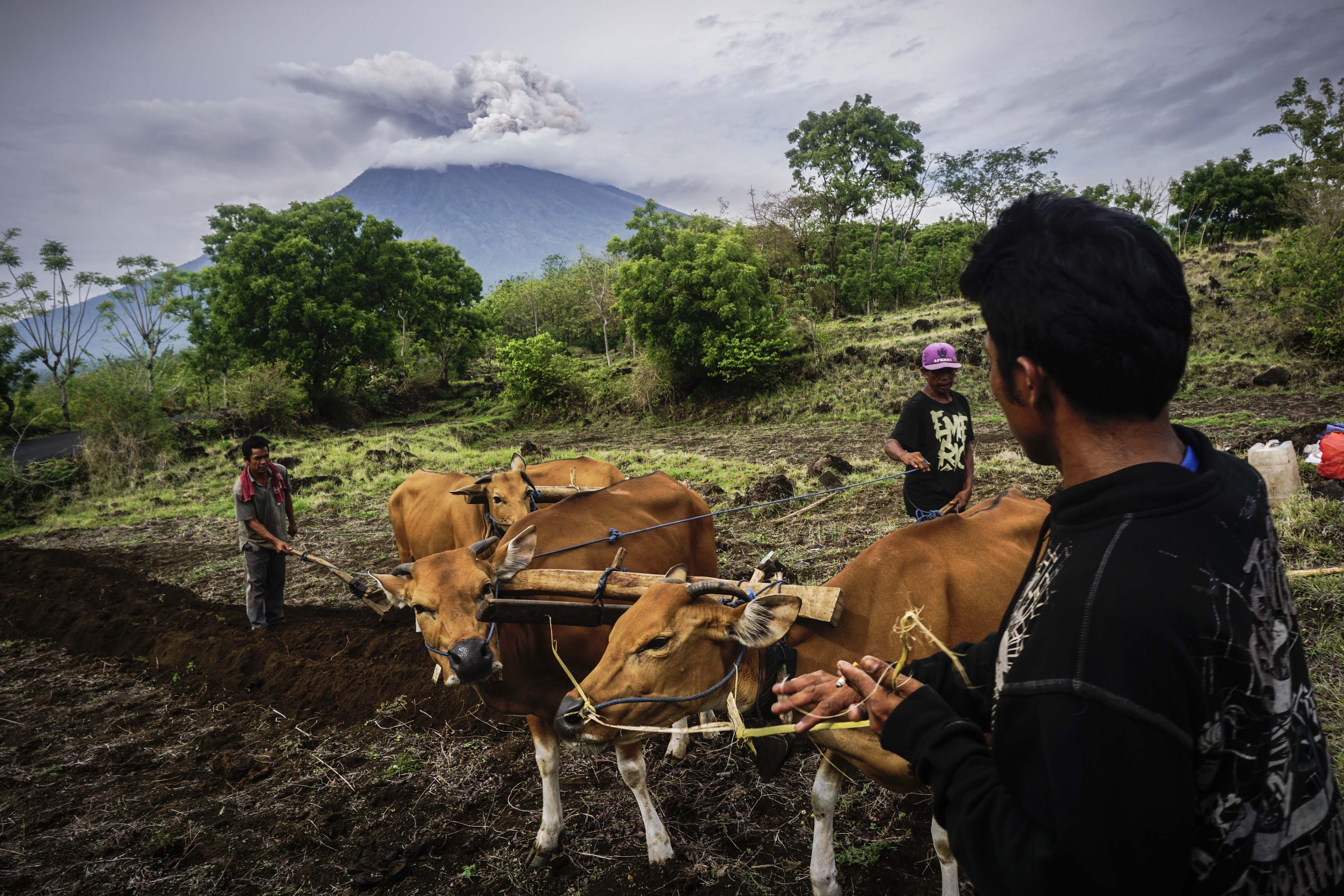  阿貢火山在峇里島人心目中，地位如同山神。（東方IC）