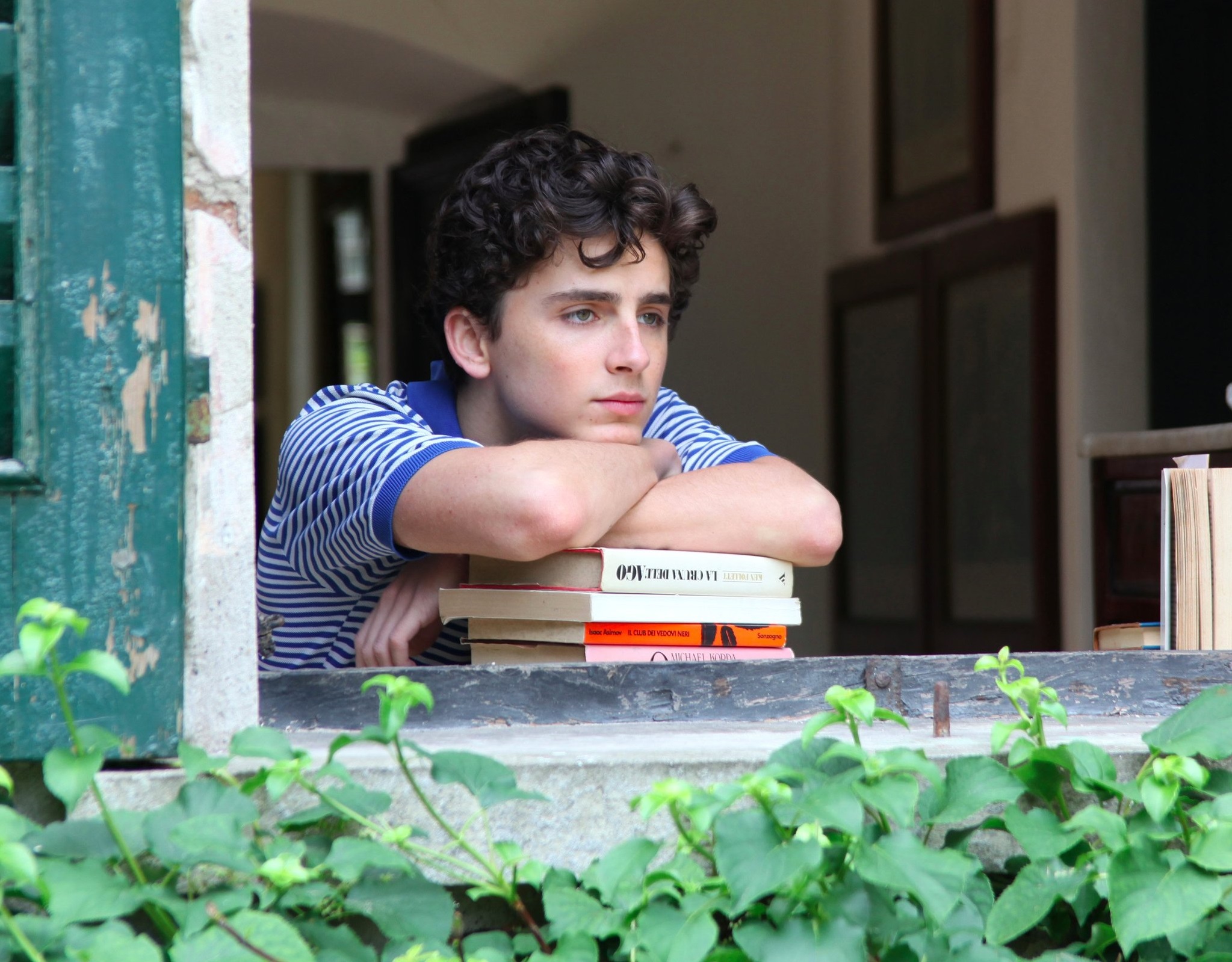 同志片《以你的名字呼喚我》在洛杉磯影評人協會一舉獲得三項大獎，小鮮肉提摩西夏拉梅已被看好是奧斯卡影帝熱門。（翻攝自media1.popsugar-assets.com）