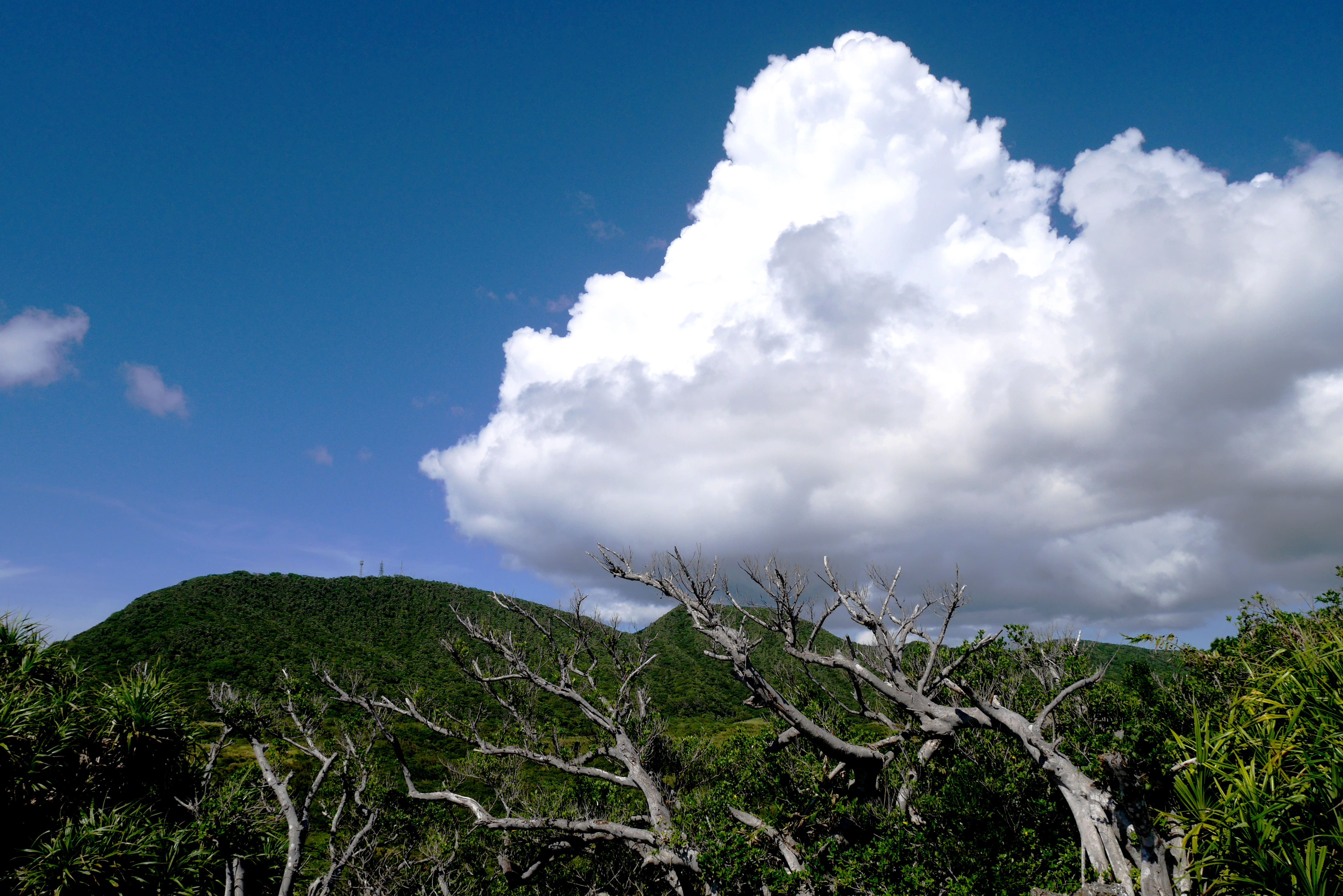 黃信堯導演的《雲之国》無敍事、無對話、無旁白、無音樂、無人物，鏡頭也固定不動。（三隻小白兔的影像世界提供）