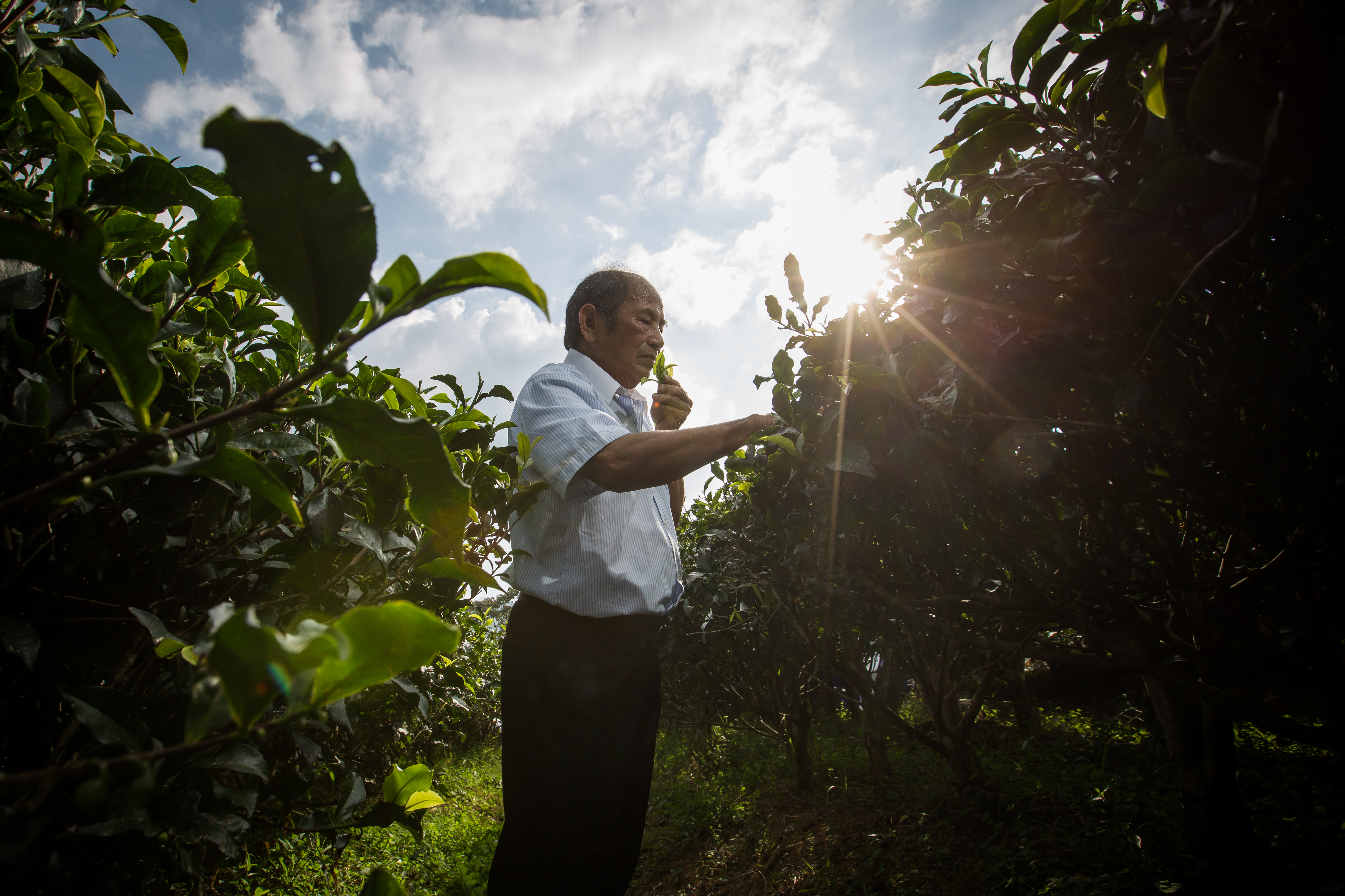 李松連出生於保守傳統的年代,卻對於追求愛情相當大膽,也曾有段婚外情。