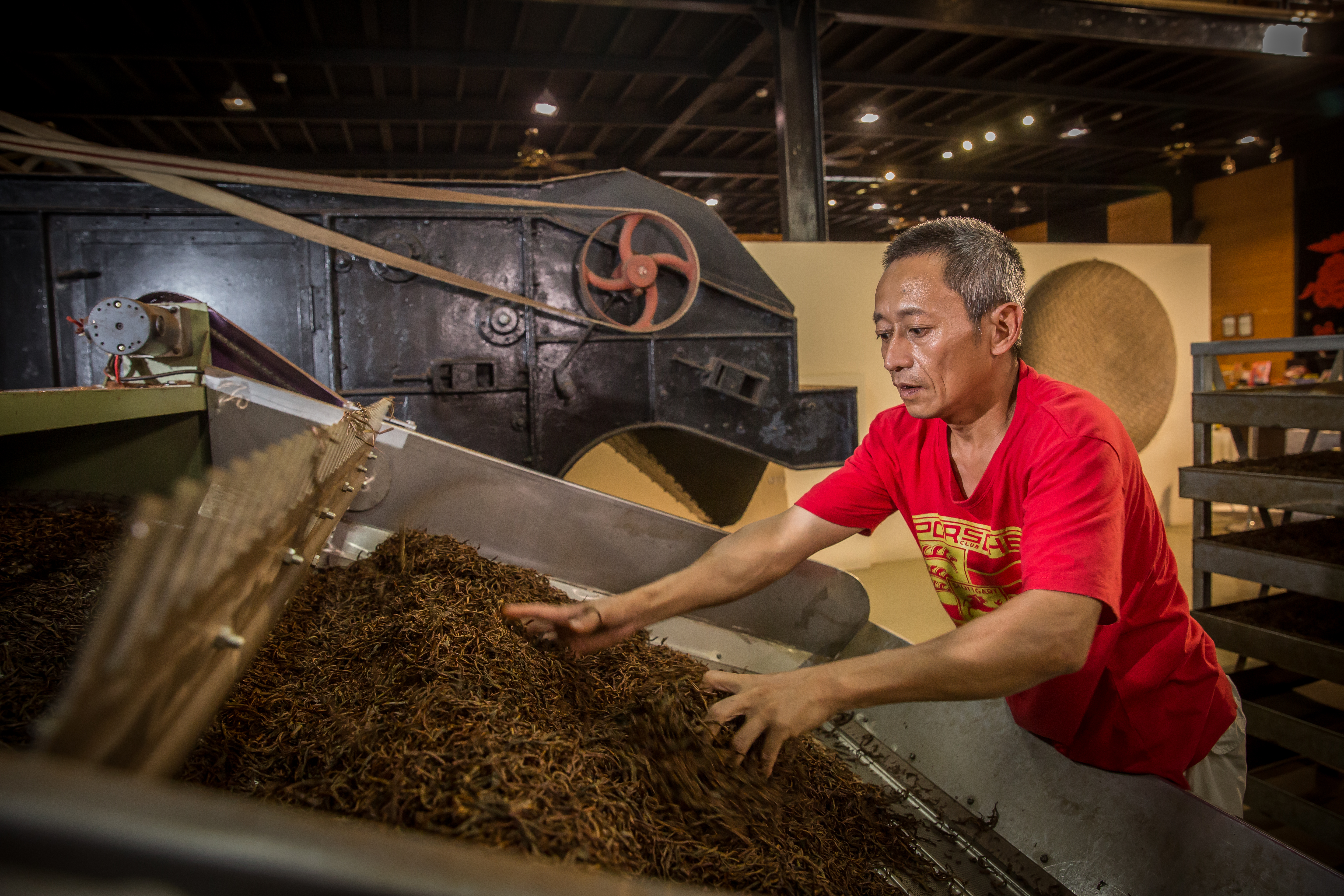 李韋梆傳承父親李松連的「龜毛」，對於製茶相當有想法。